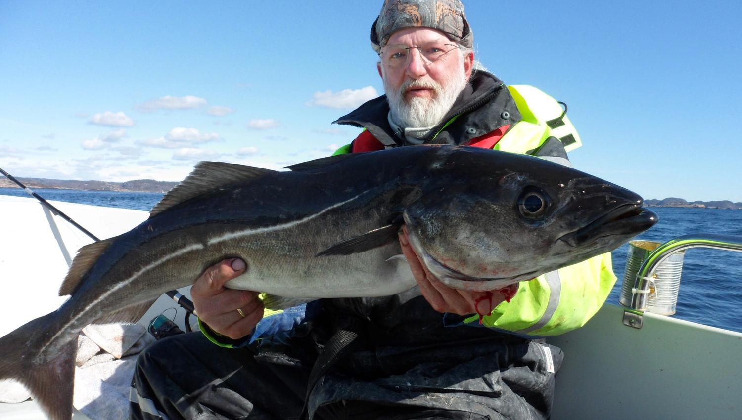 A man who has caught a large pollock