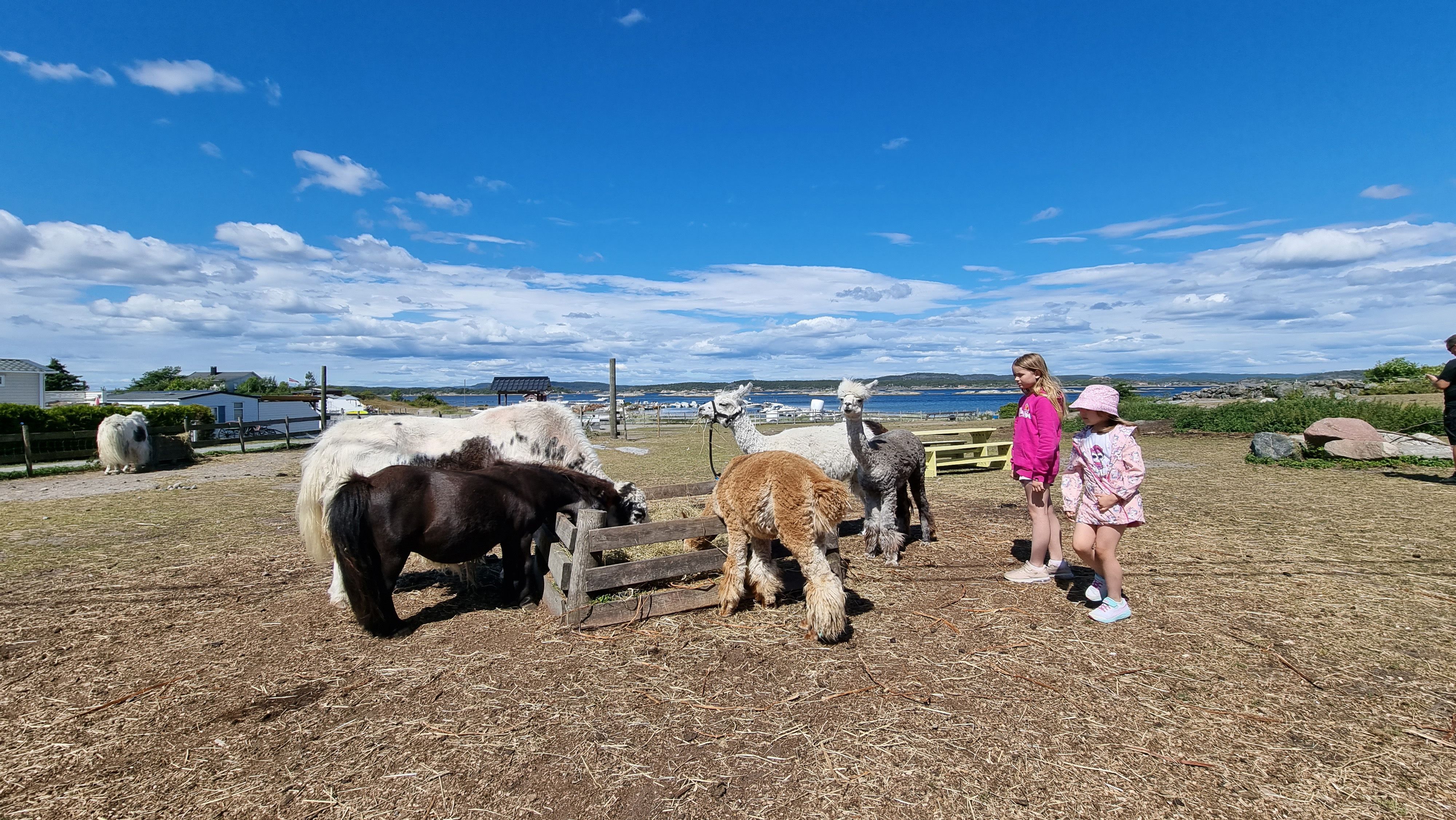 Gundersen gård på Jomfruland