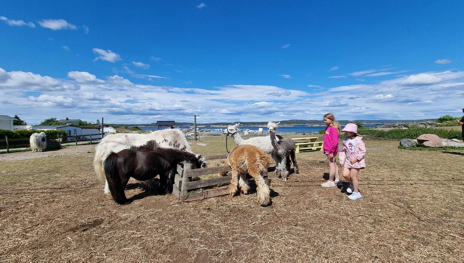 Gundersen gård på Jomfruland