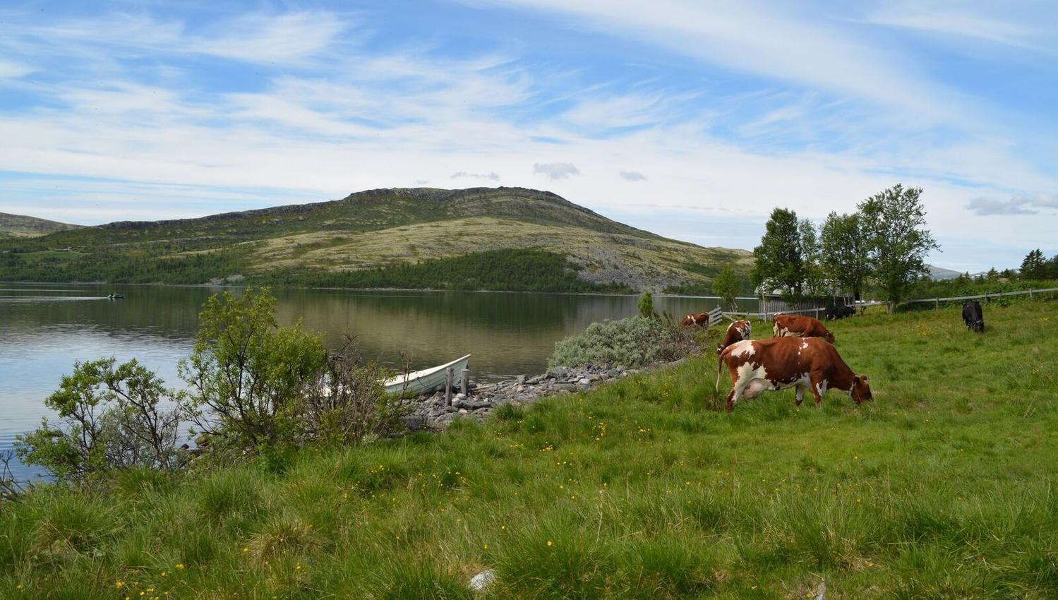 Flaksjøen