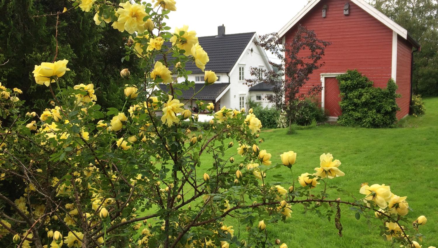 Jørem