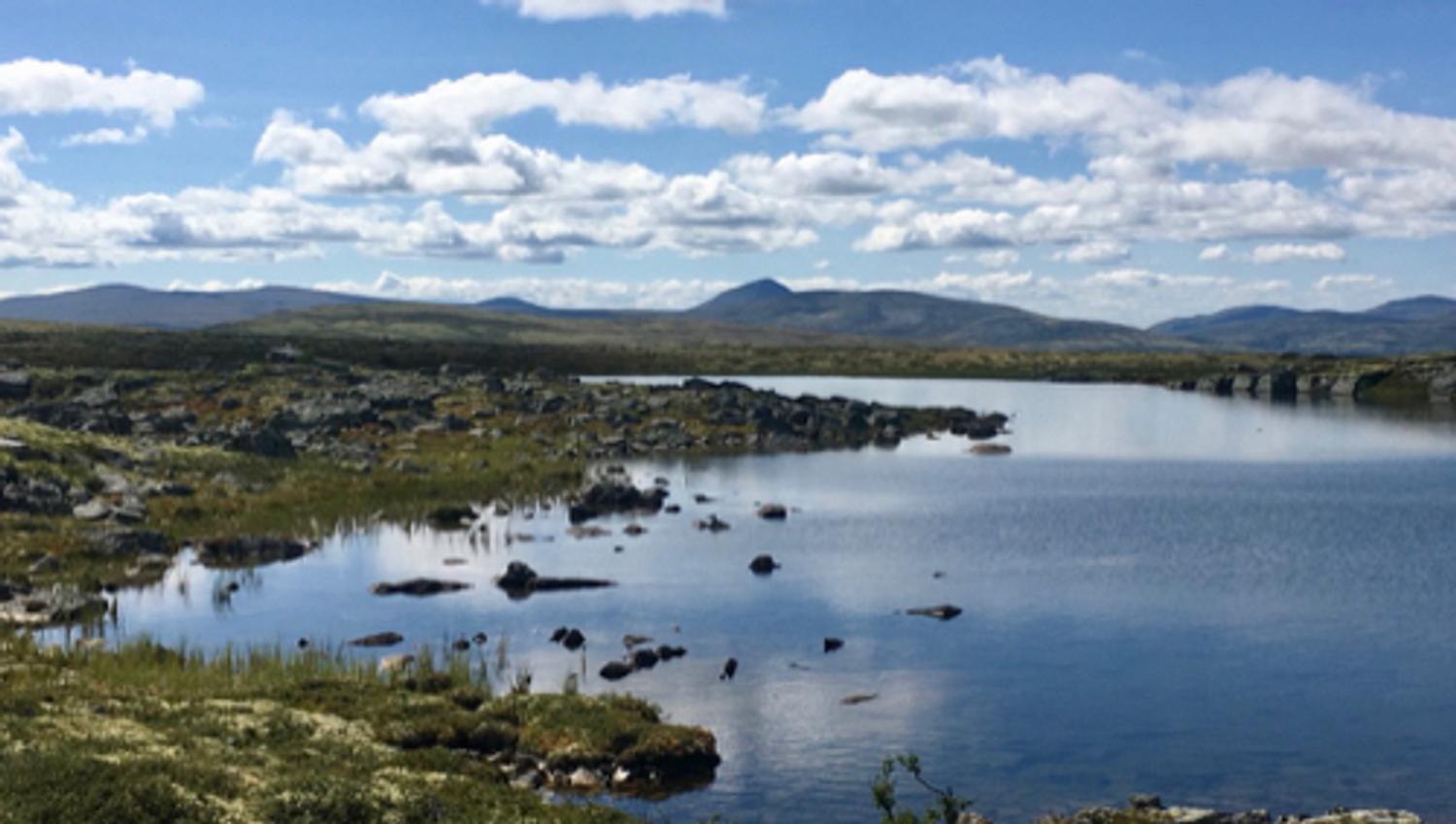 Mountain lake and Rondane view | Venabu Fjellhotell