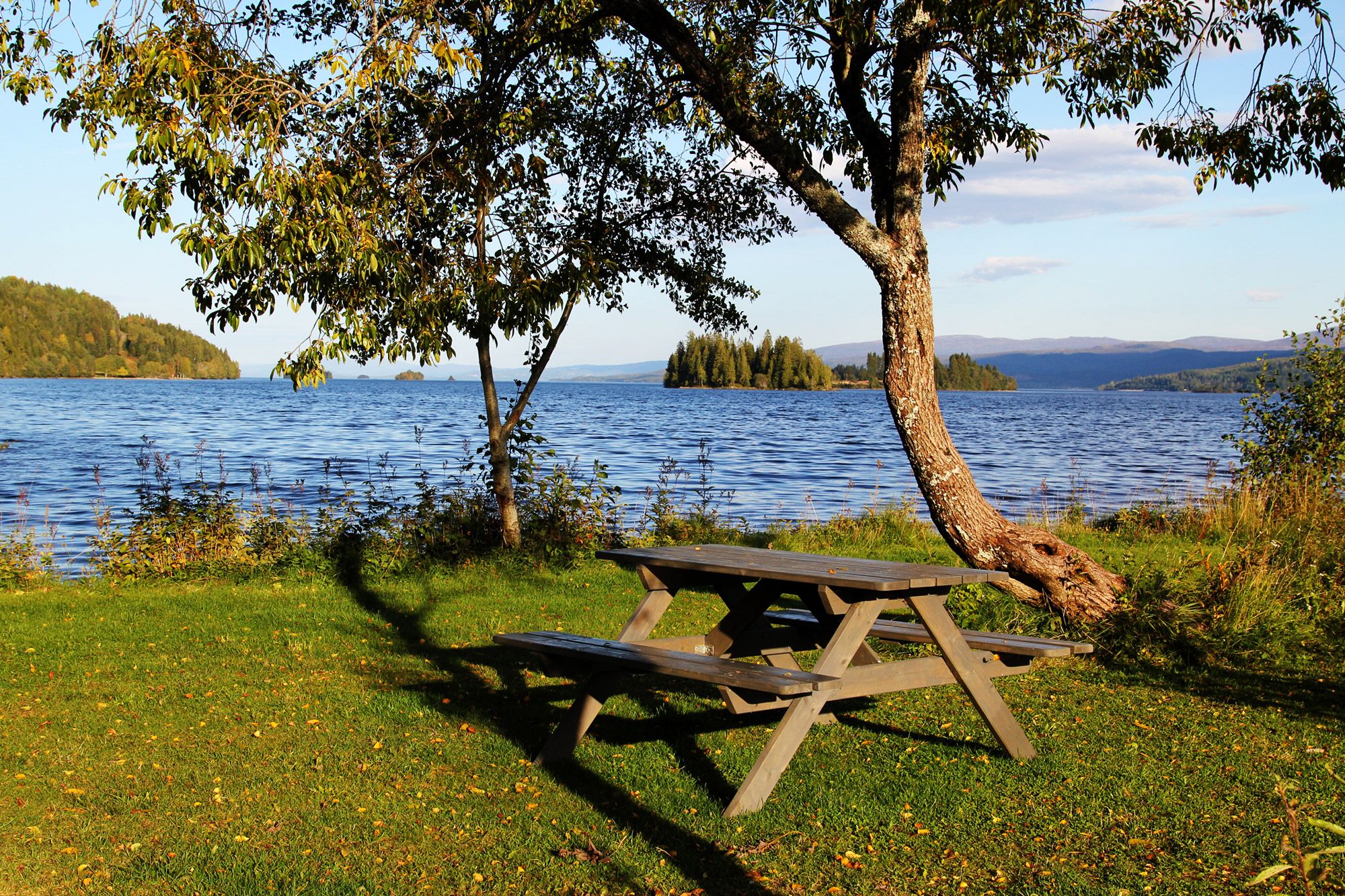 Picnic area by the lake