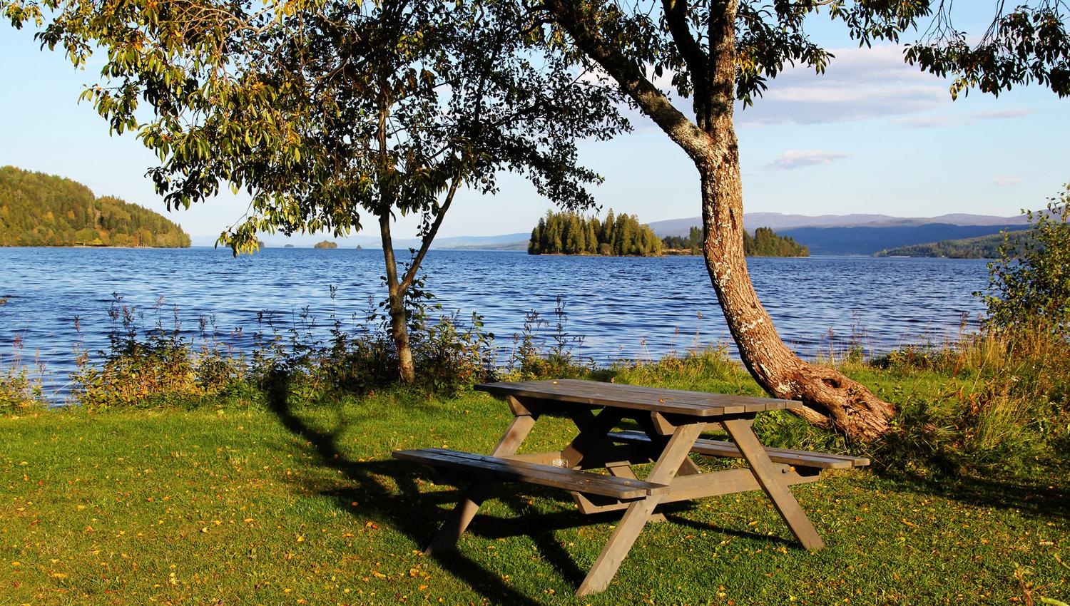 Picnic area by the lake