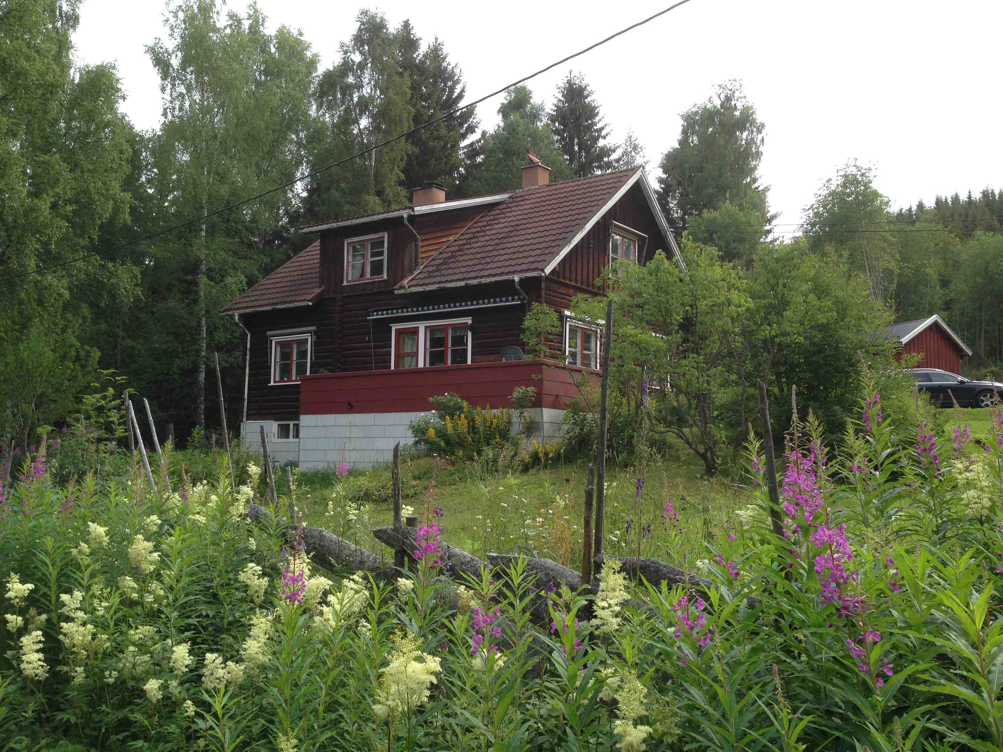 Hytte i blomstereng, Norgesbooking