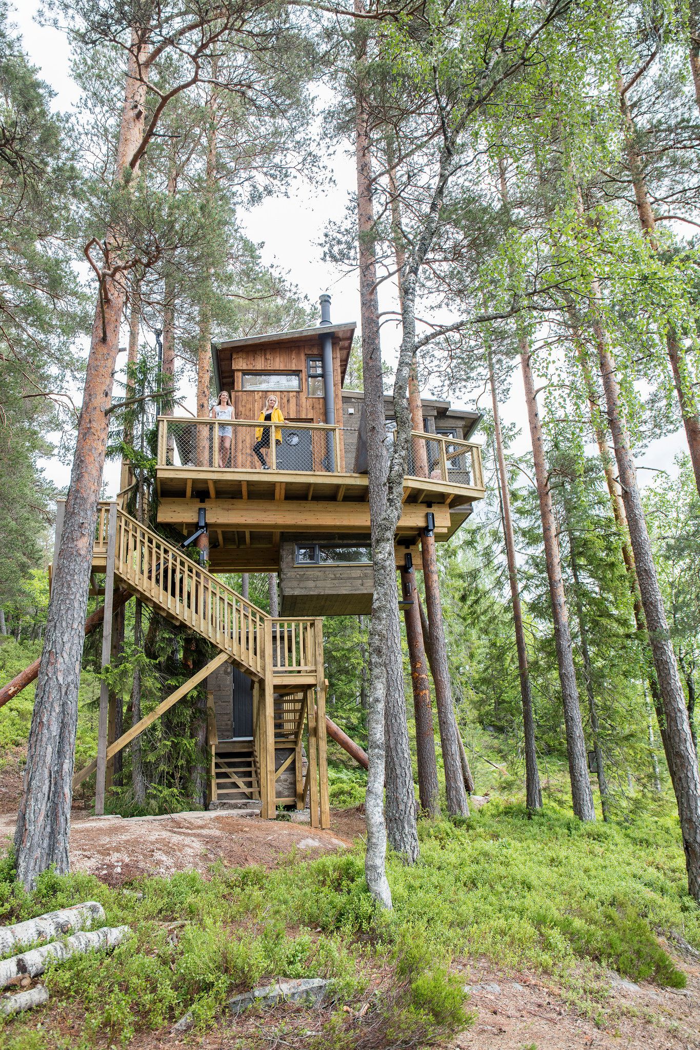 Gjøkeredet Tretopp Treyhyttene i Gjerstad