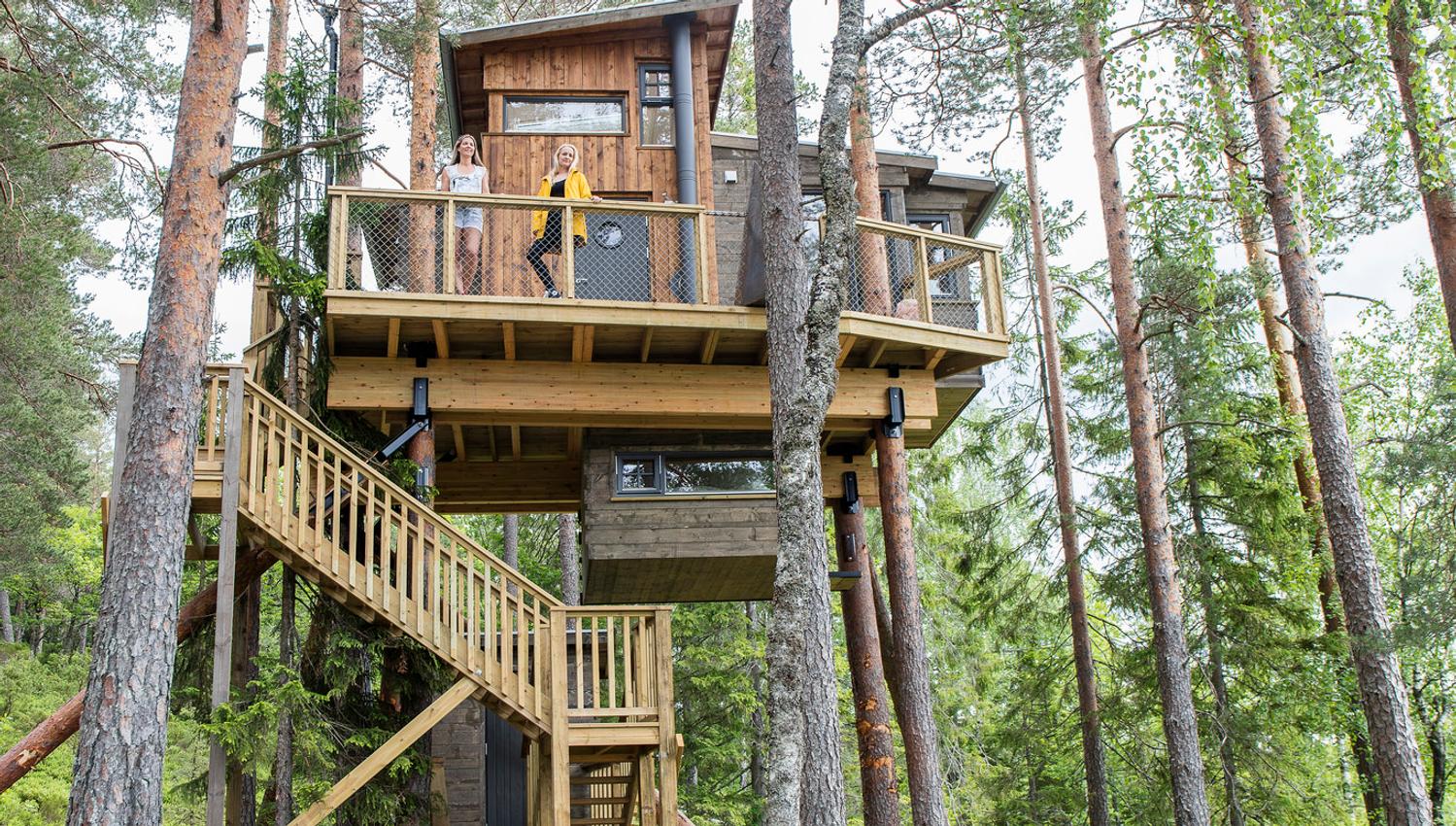 Gjøkeredet Tretopp Treyhyttene i Gjerstad