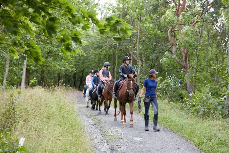 ridegruppe fra rideskolen på Bygdø Kongsgård. foto
