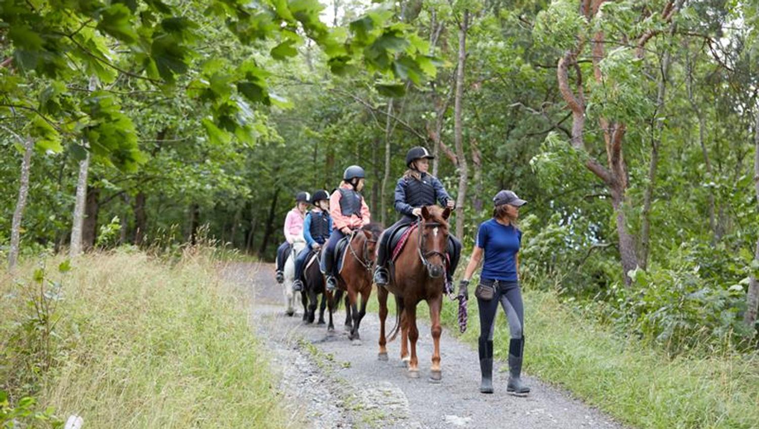 ridegruppe fra rideskolen på Bygdø Kongsgård. foto
