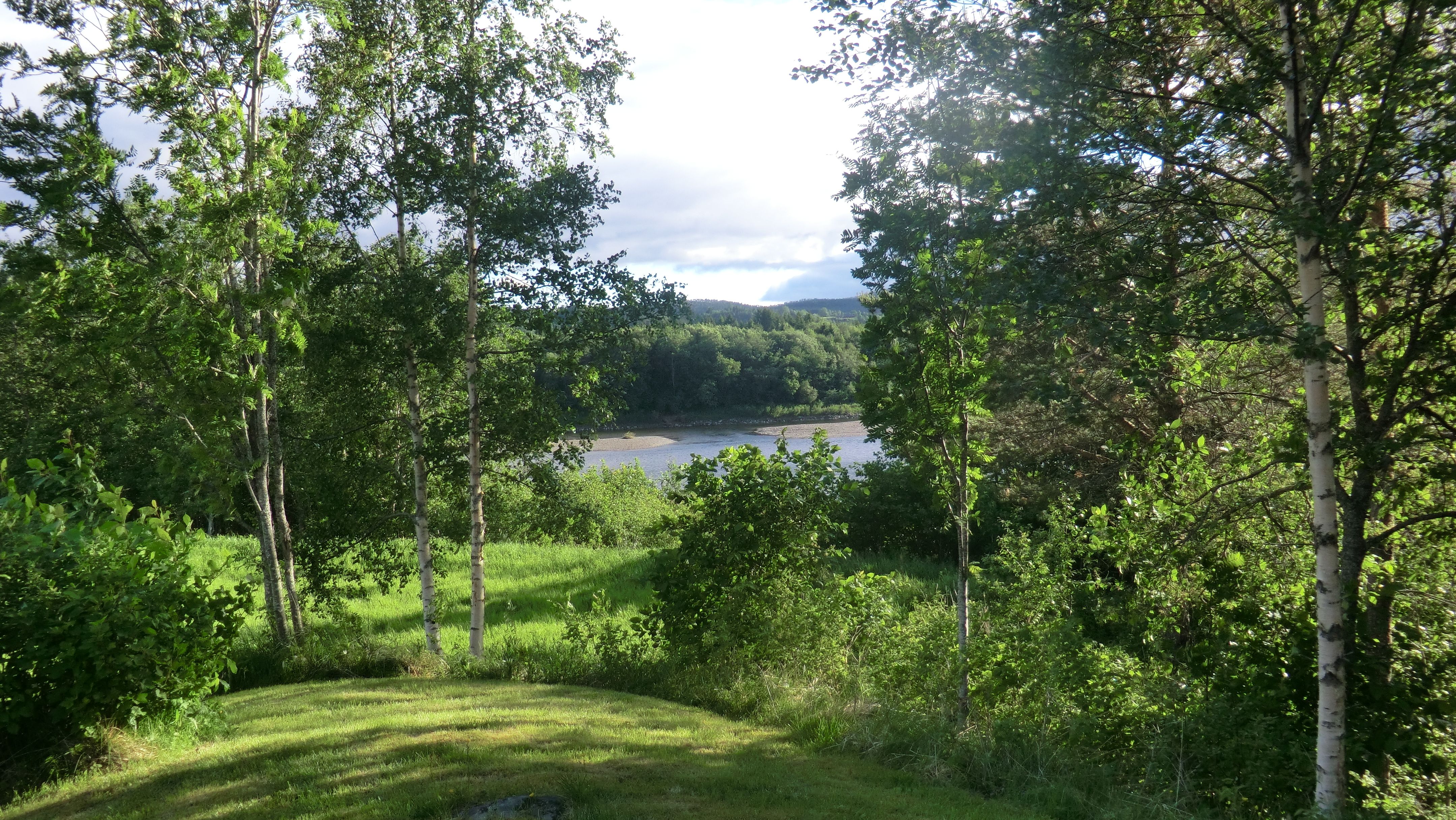 Utsikt mot Namsen og laksevaldet