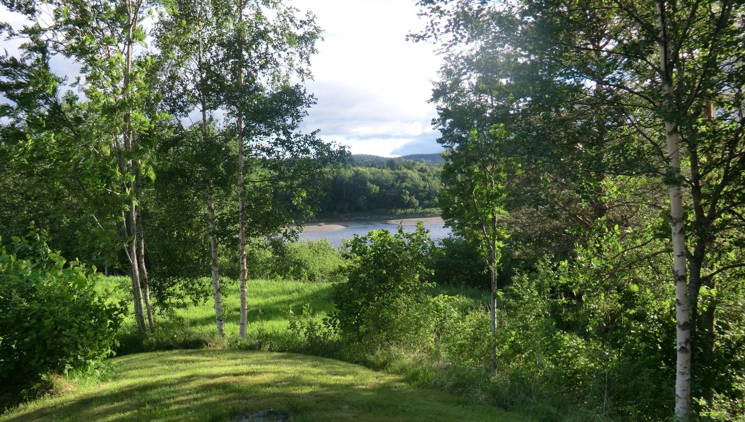 Utsikt mot Namsen og laksevaldet