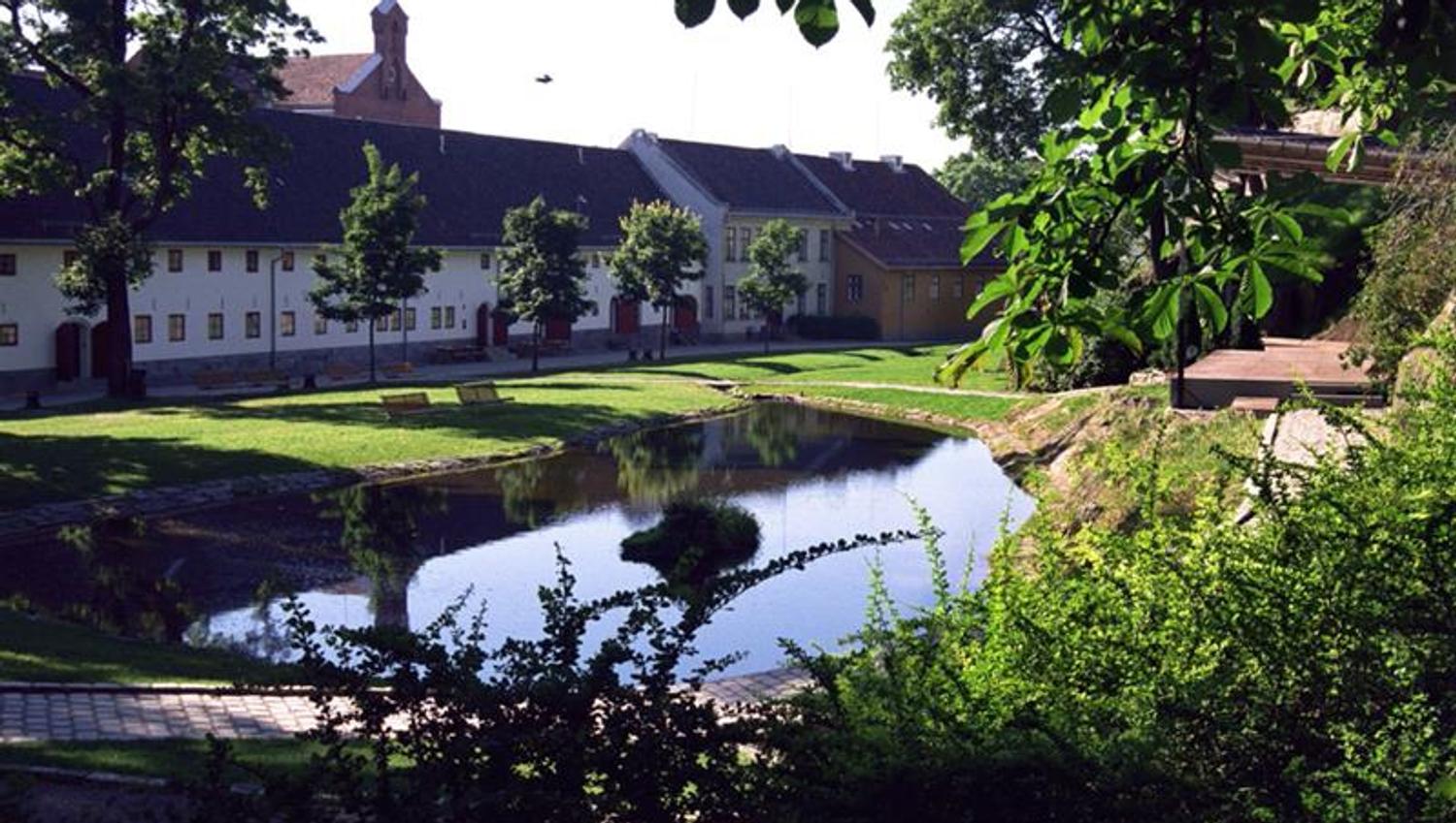 Sommerbilde av en dam med en gressplen, trær og hus rundt