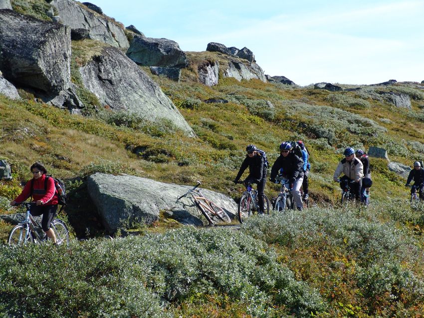 Standard fjord tour from Bergen