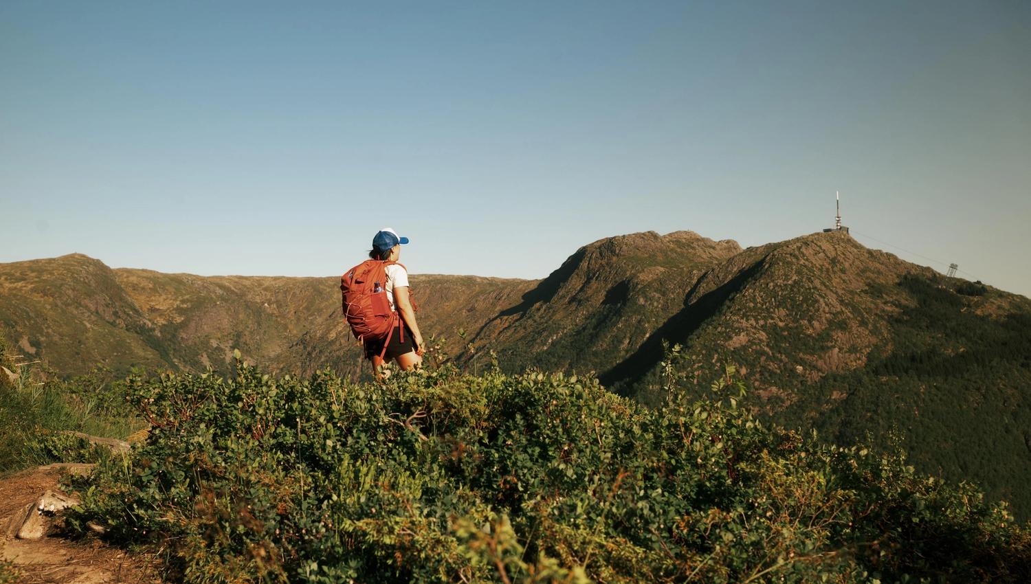Guidet fjelltur: "On Top of Bergen"