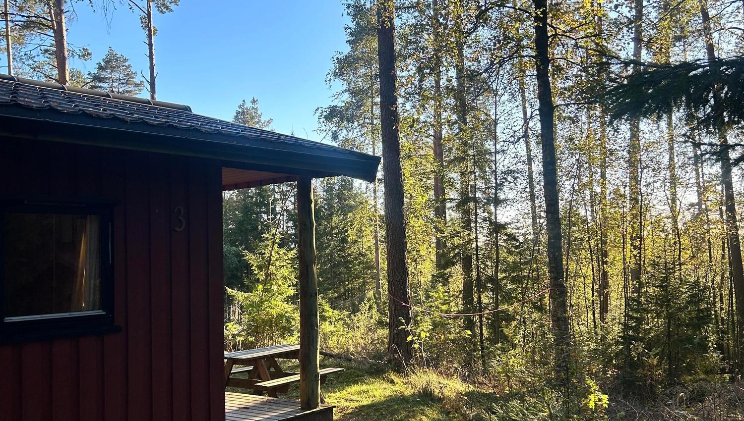 Hytte med skog rundt