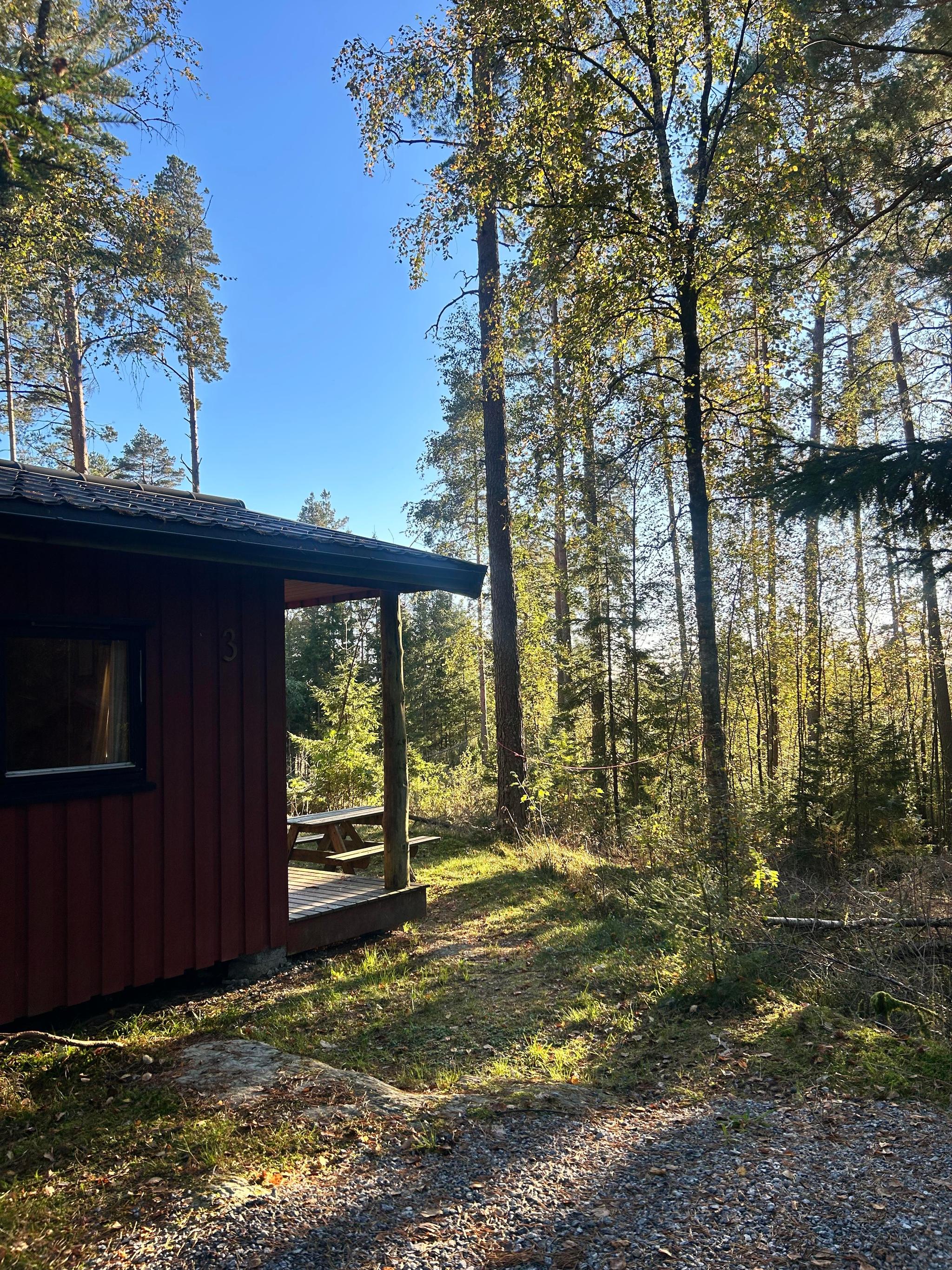 Hytte med skog rundt