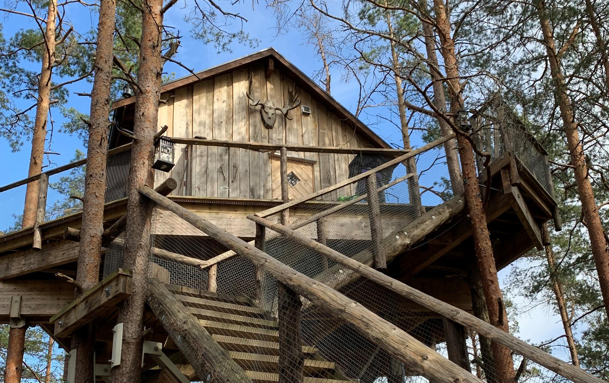 Treetop cottages at the border
