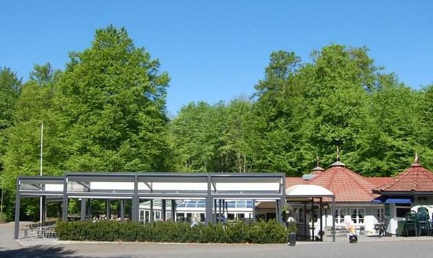 Bøkekroa i forgrunn med grønn bøkeskog bak.