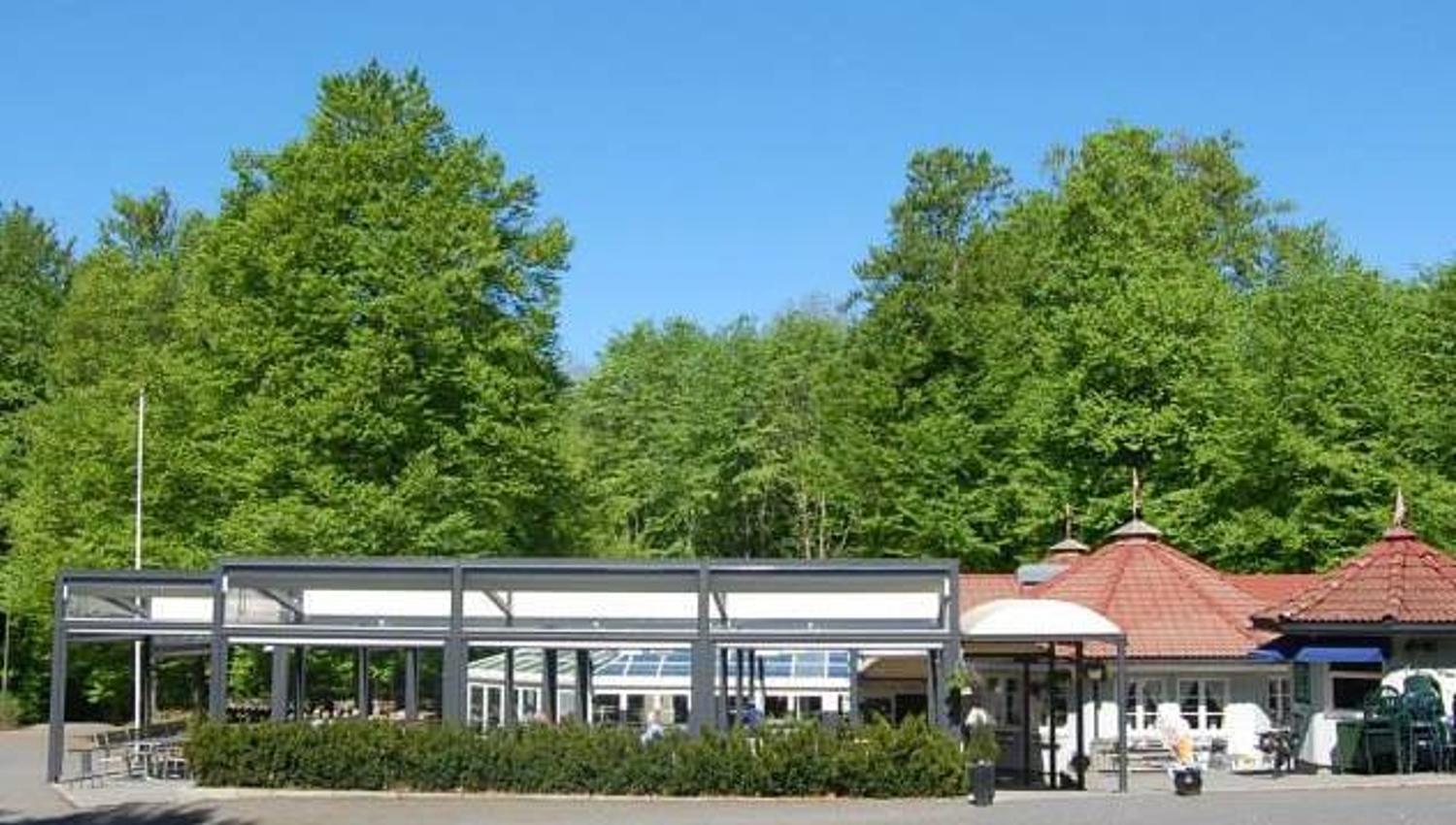 Bøkekroa i forgrunn med grønn bøkeskog bak.