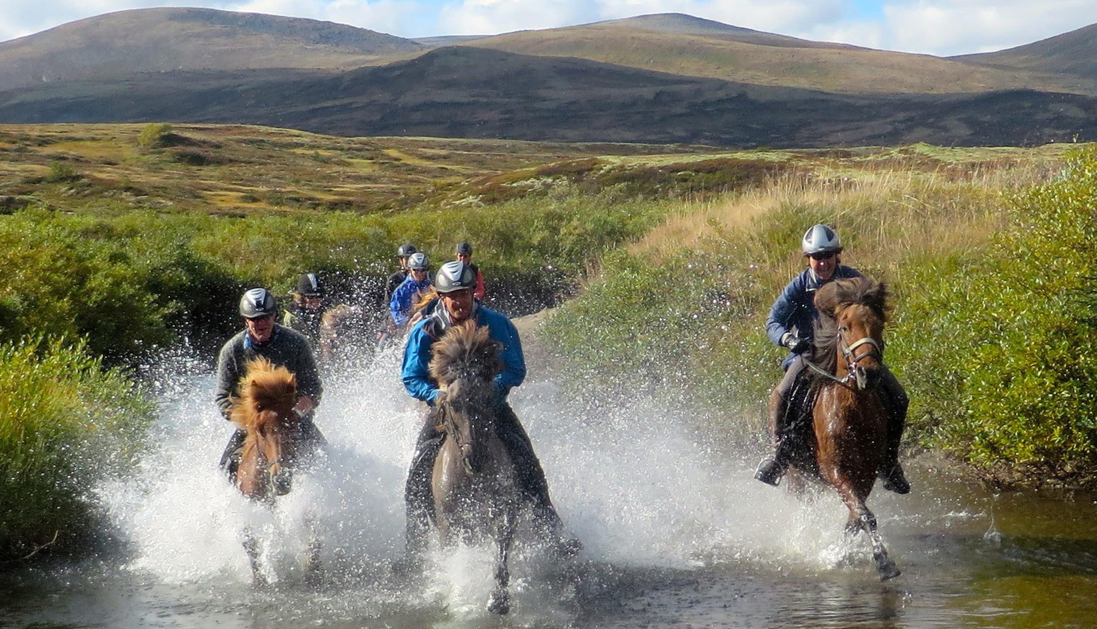 Mesna Overnatting & Opplevelser - Action på ridetur