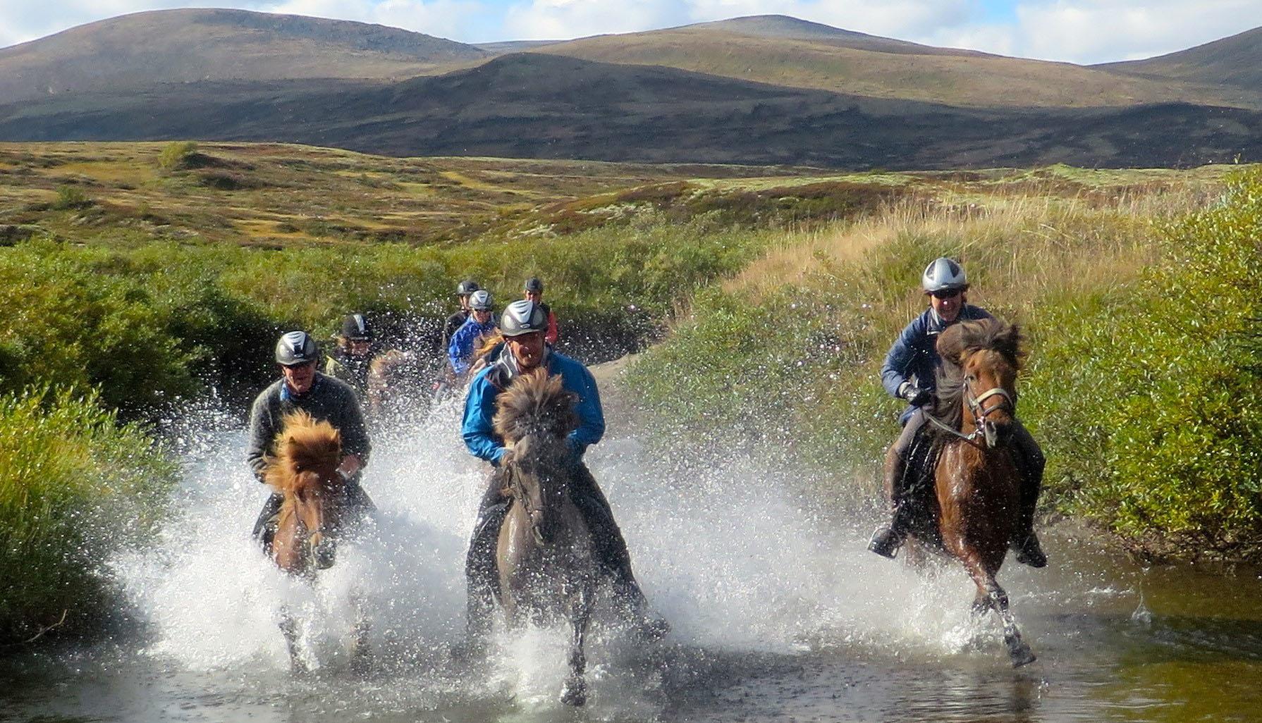 Mesna Overnatting & Opplevelser - Action på ridetur