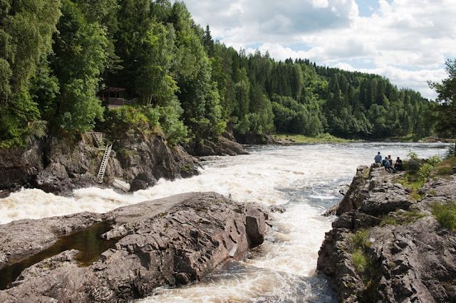 Foss, fjell og grønn skog