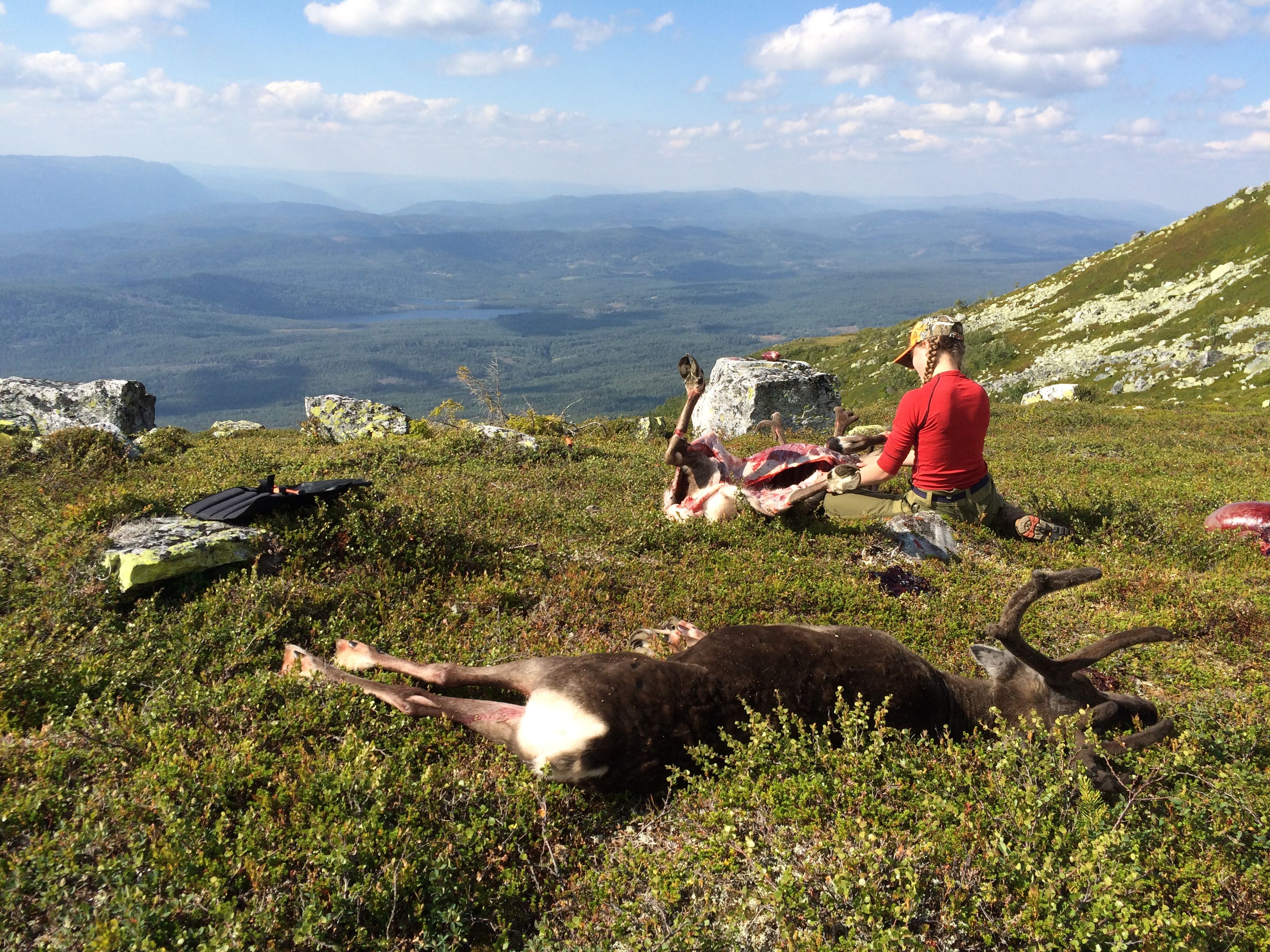 Jakt på fjellet