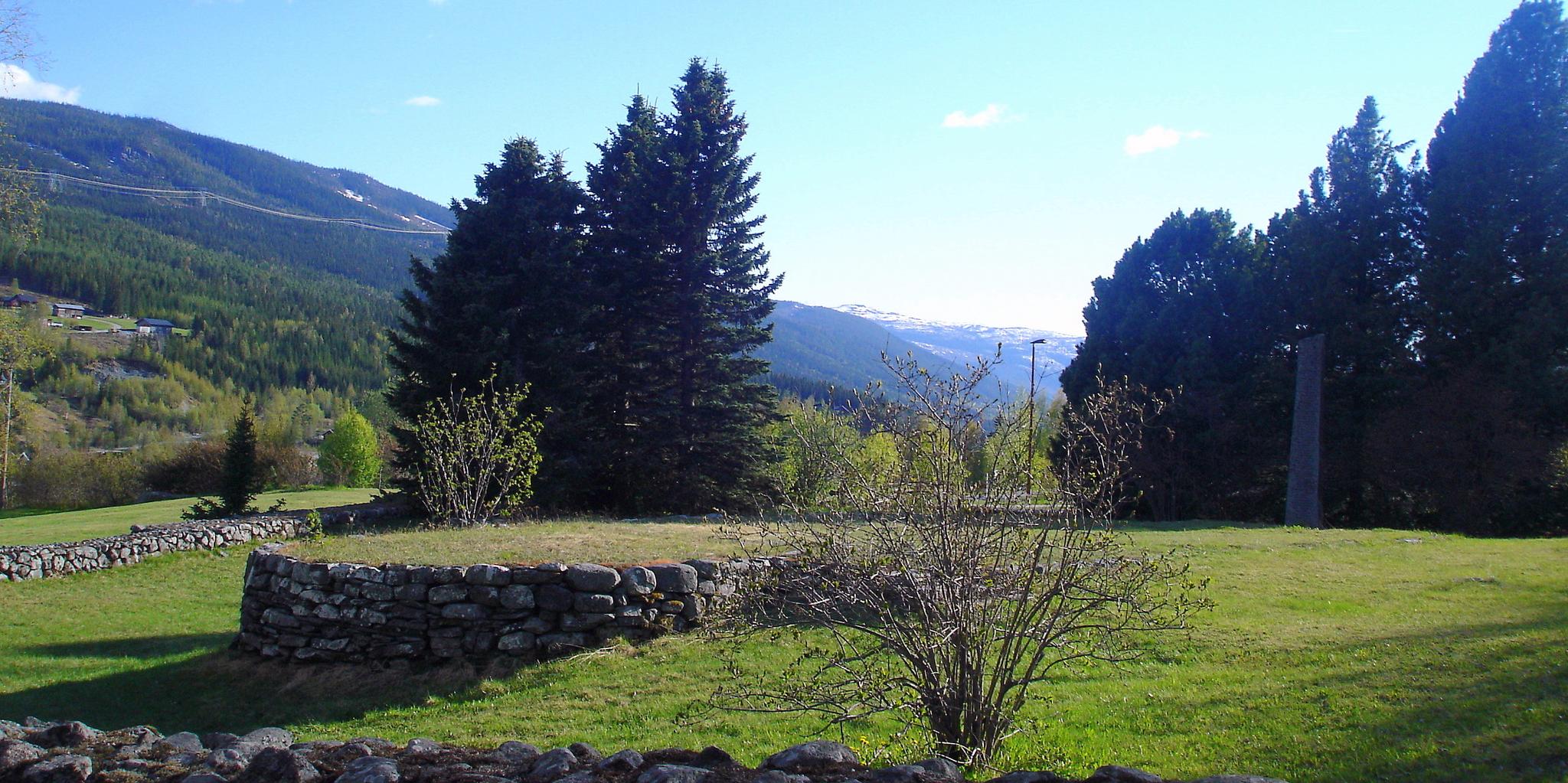 Stavkyrkjetufta på Ål