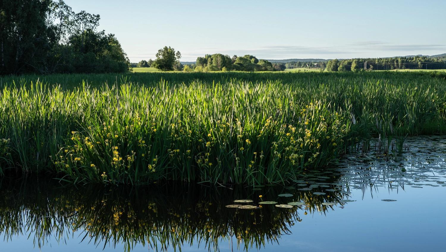 lake
