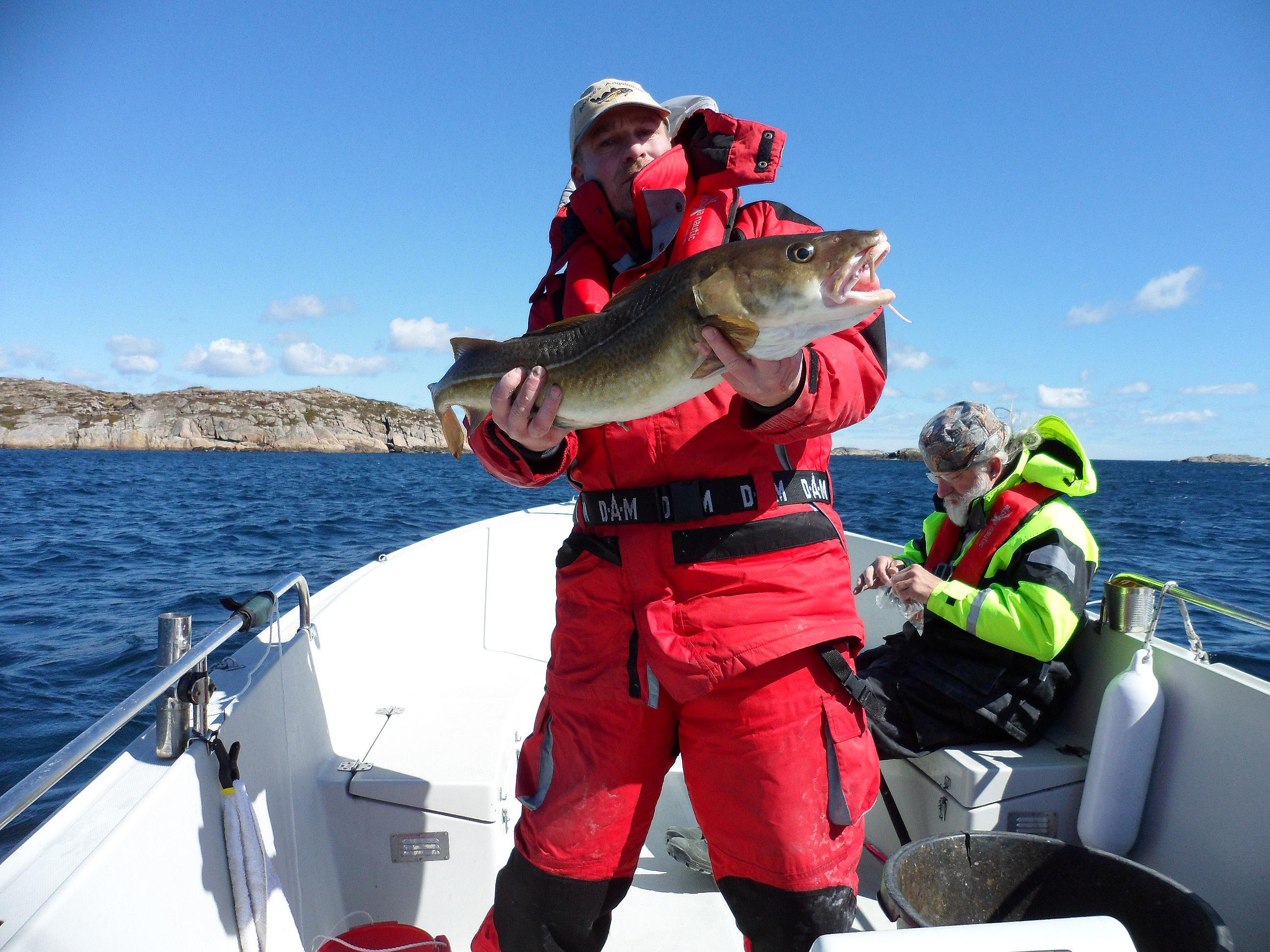 Mann som står i båt ute i skjærgården utenfor Tregde ferie med en stor torsk i hendene