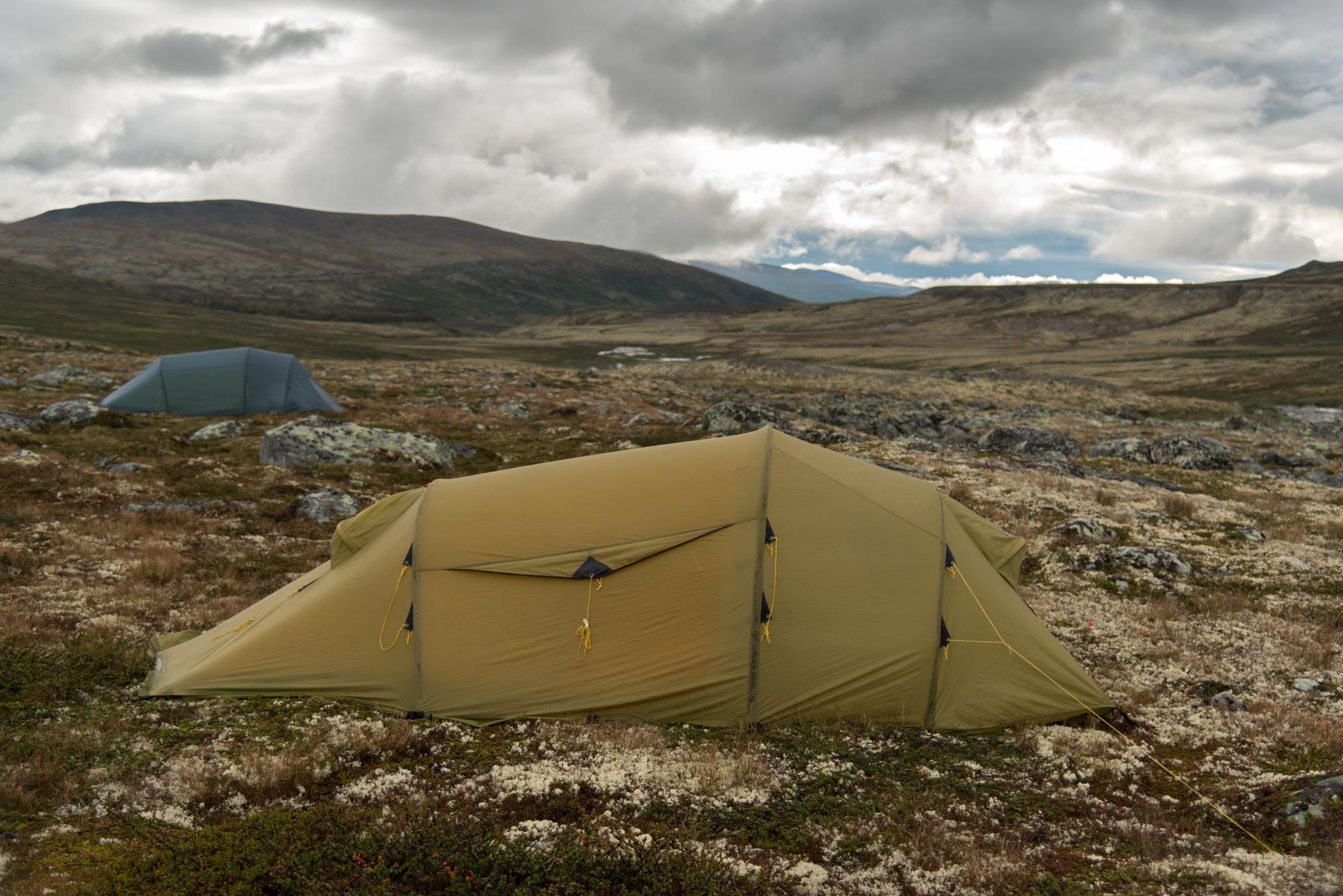 Moskussafari m/personlig guide, 2 dager