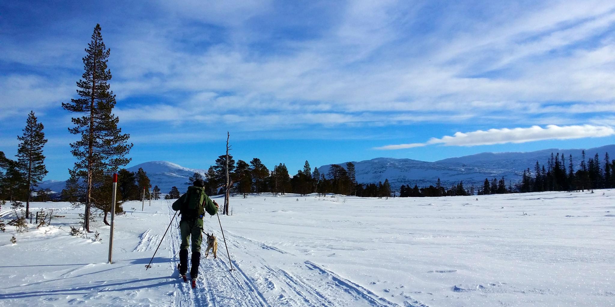 Skitur til Midtpunktet