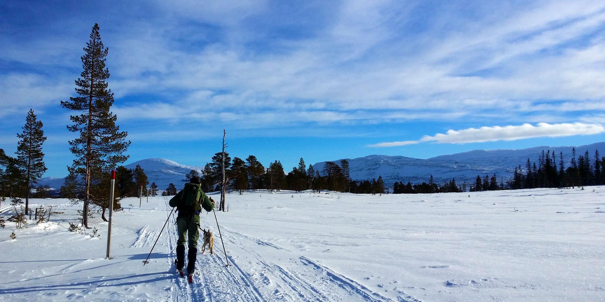 Skitur til Midtpunktet