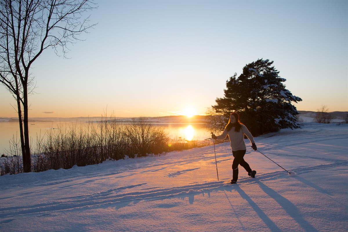 Skiløype på Domkirkeodden