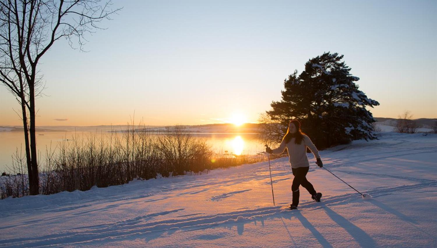 Skiløype på Domkirkeodden