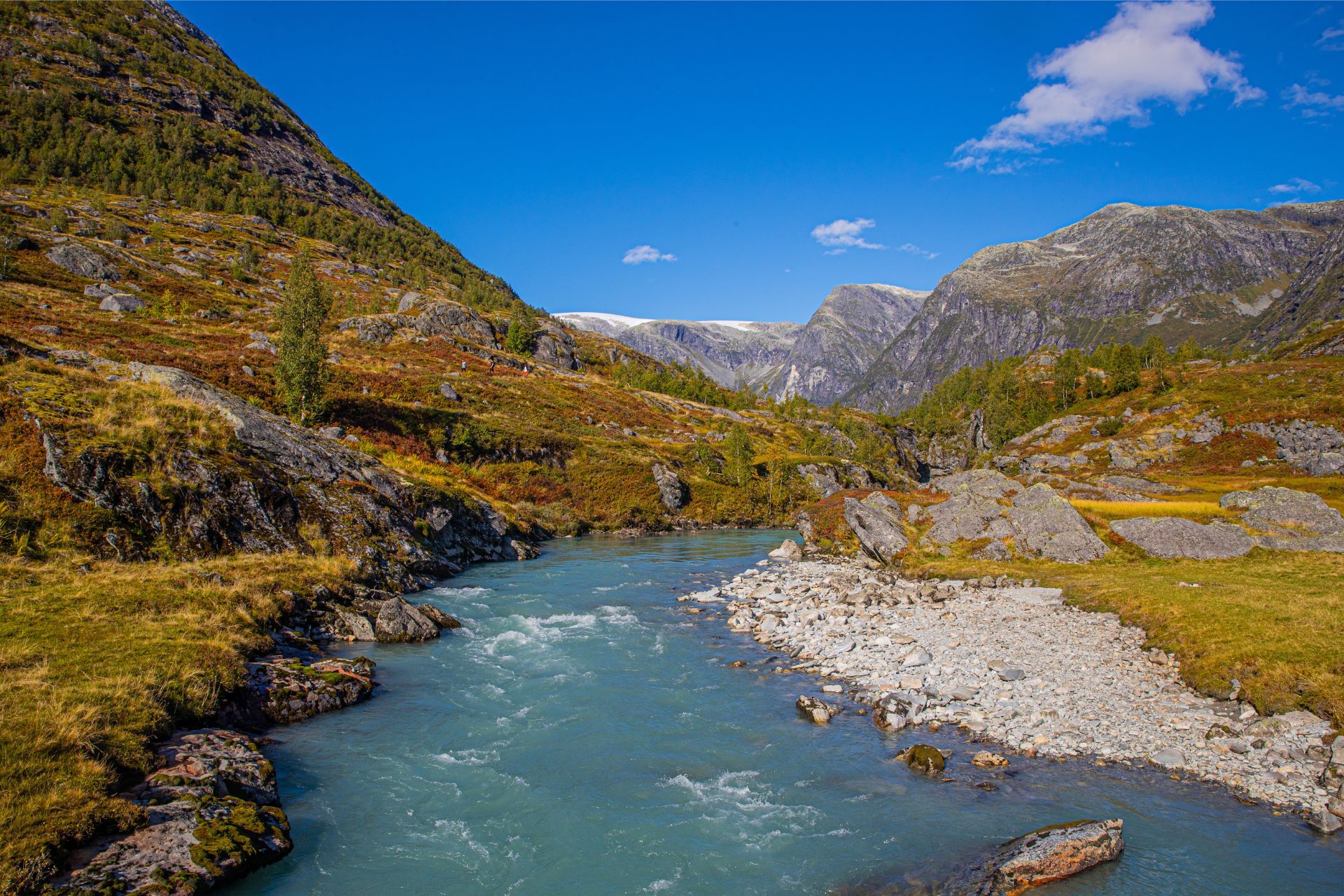 Hike to Tungestølen-Austerdalsbreen