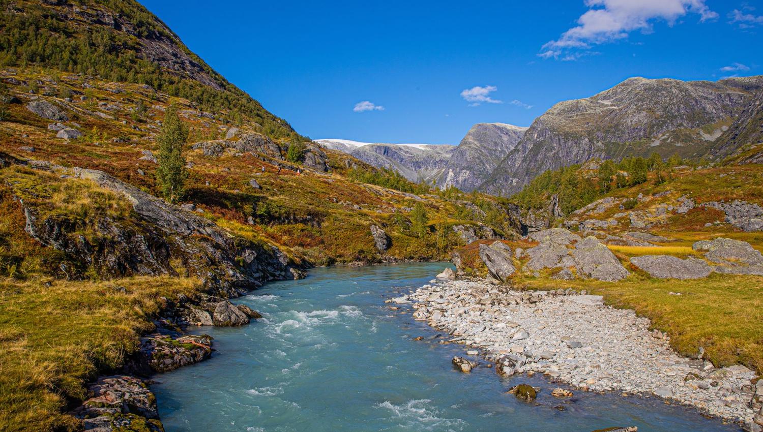 Hike to Tungestølen-Austerdalsbreen