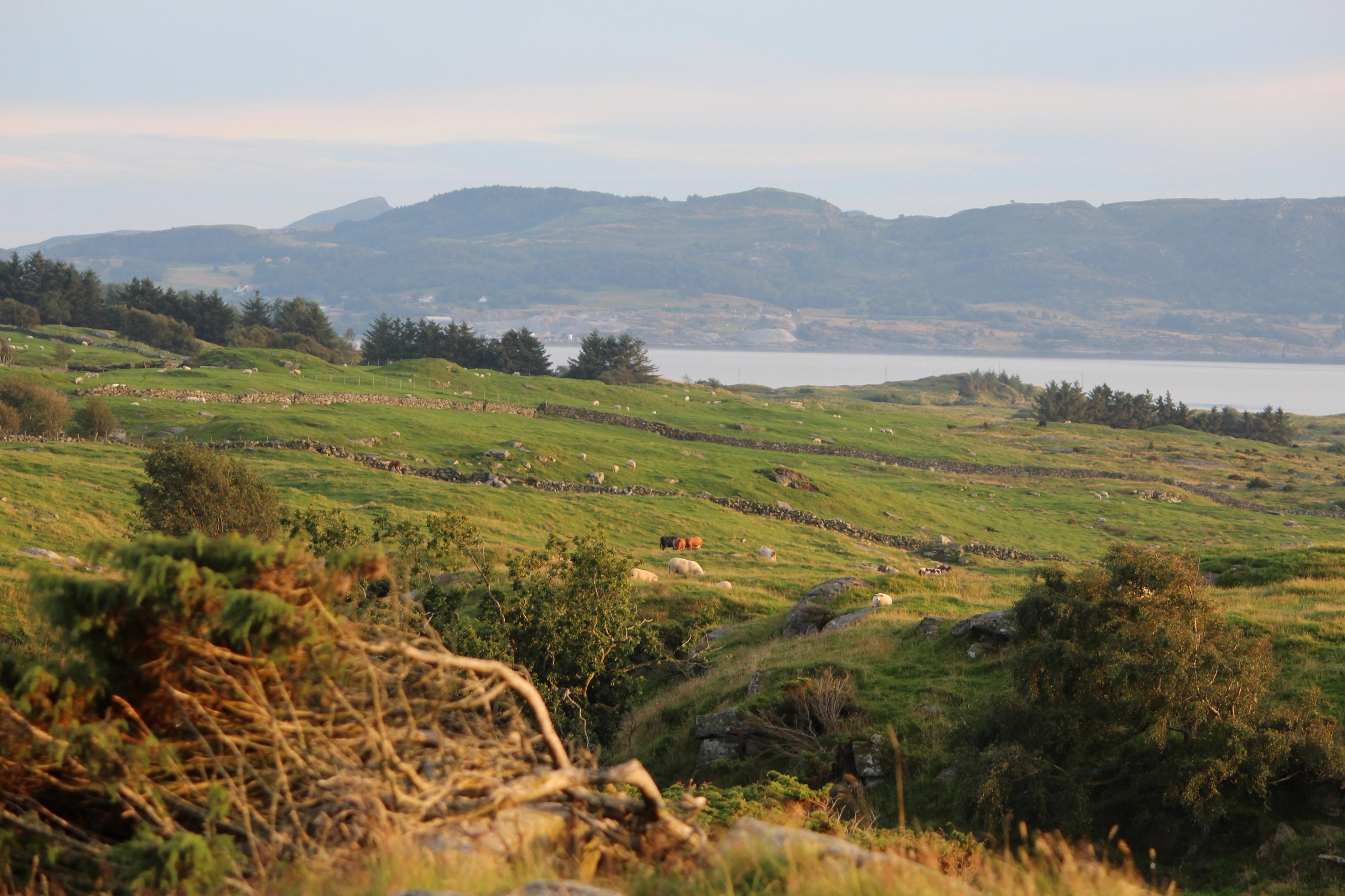 Hiking from Kvitevik to Vignesneset