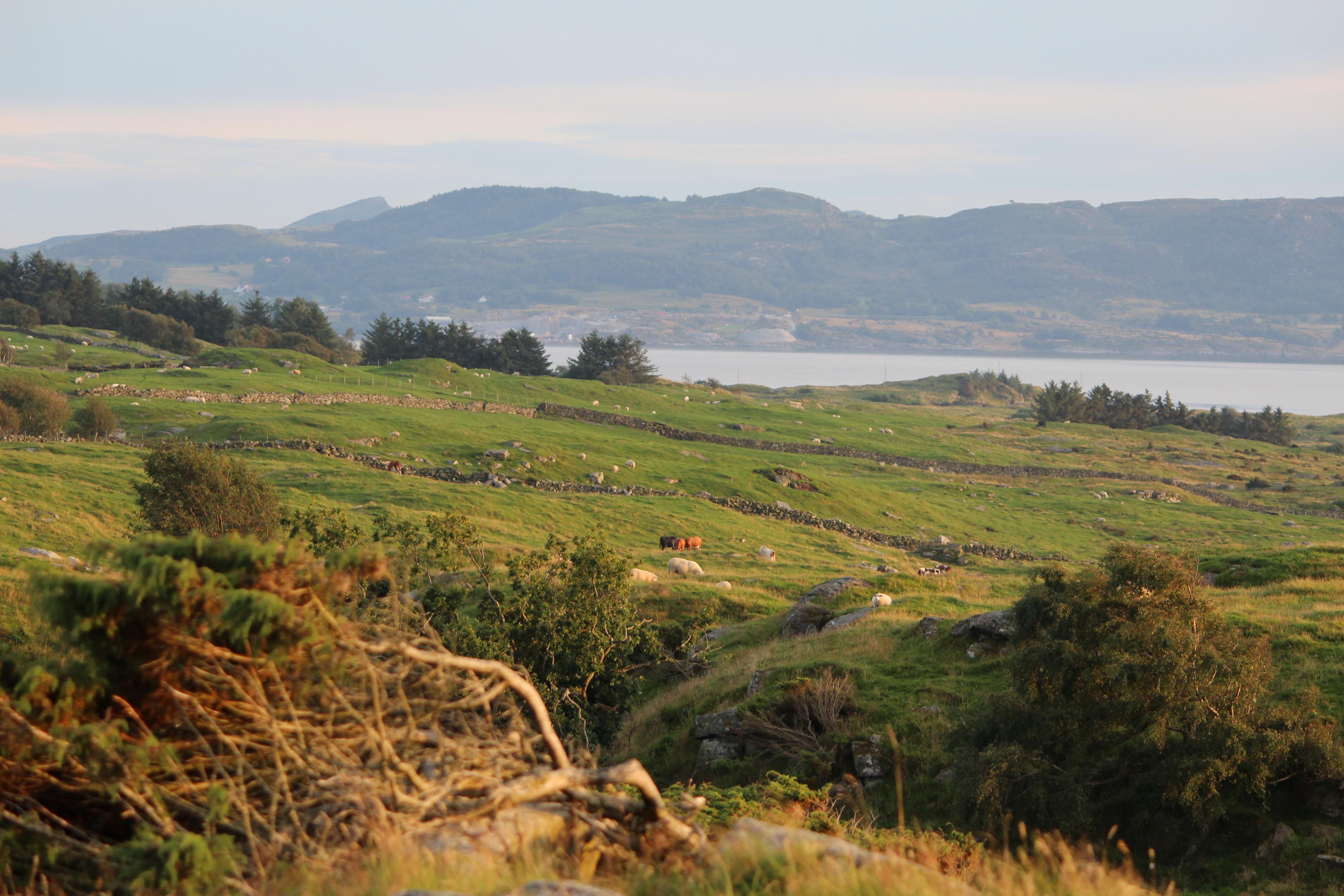 Hiking from Kvitevik to Vignesneset