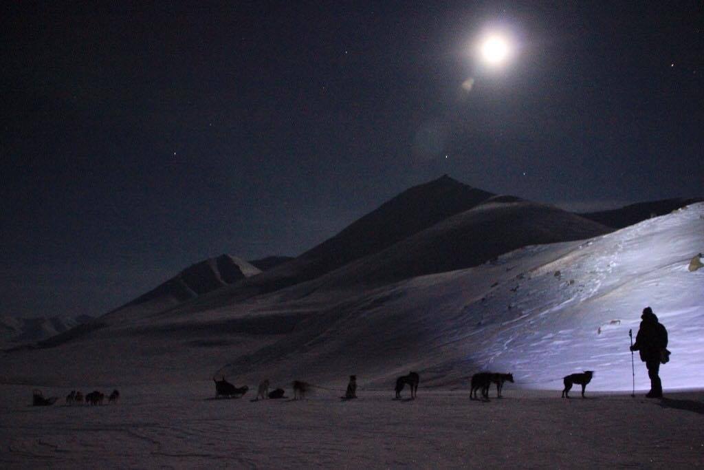 Dog sleds in the polar night