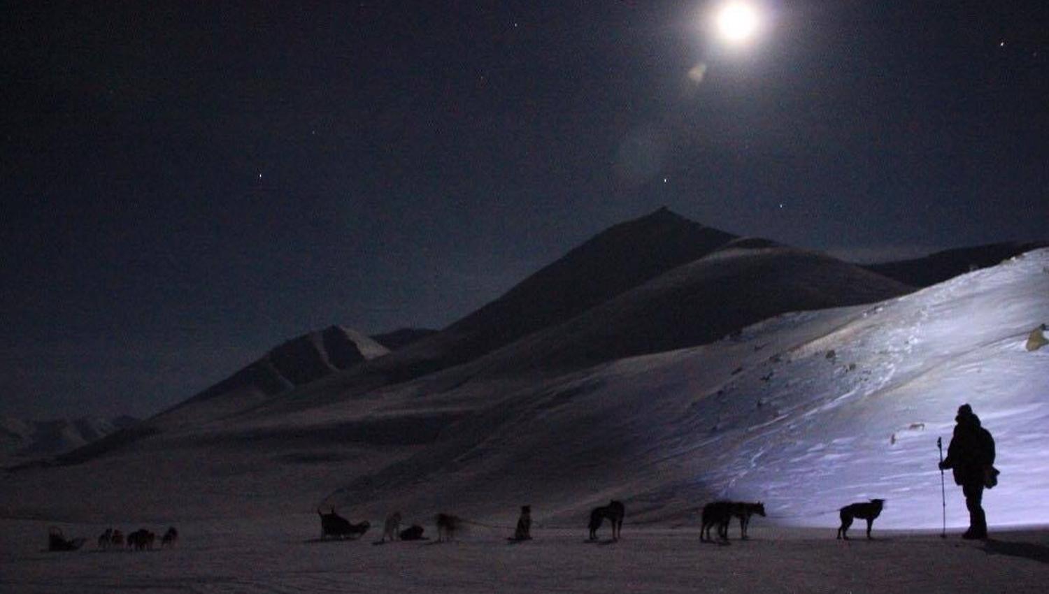 Hundesleder i polarnatta