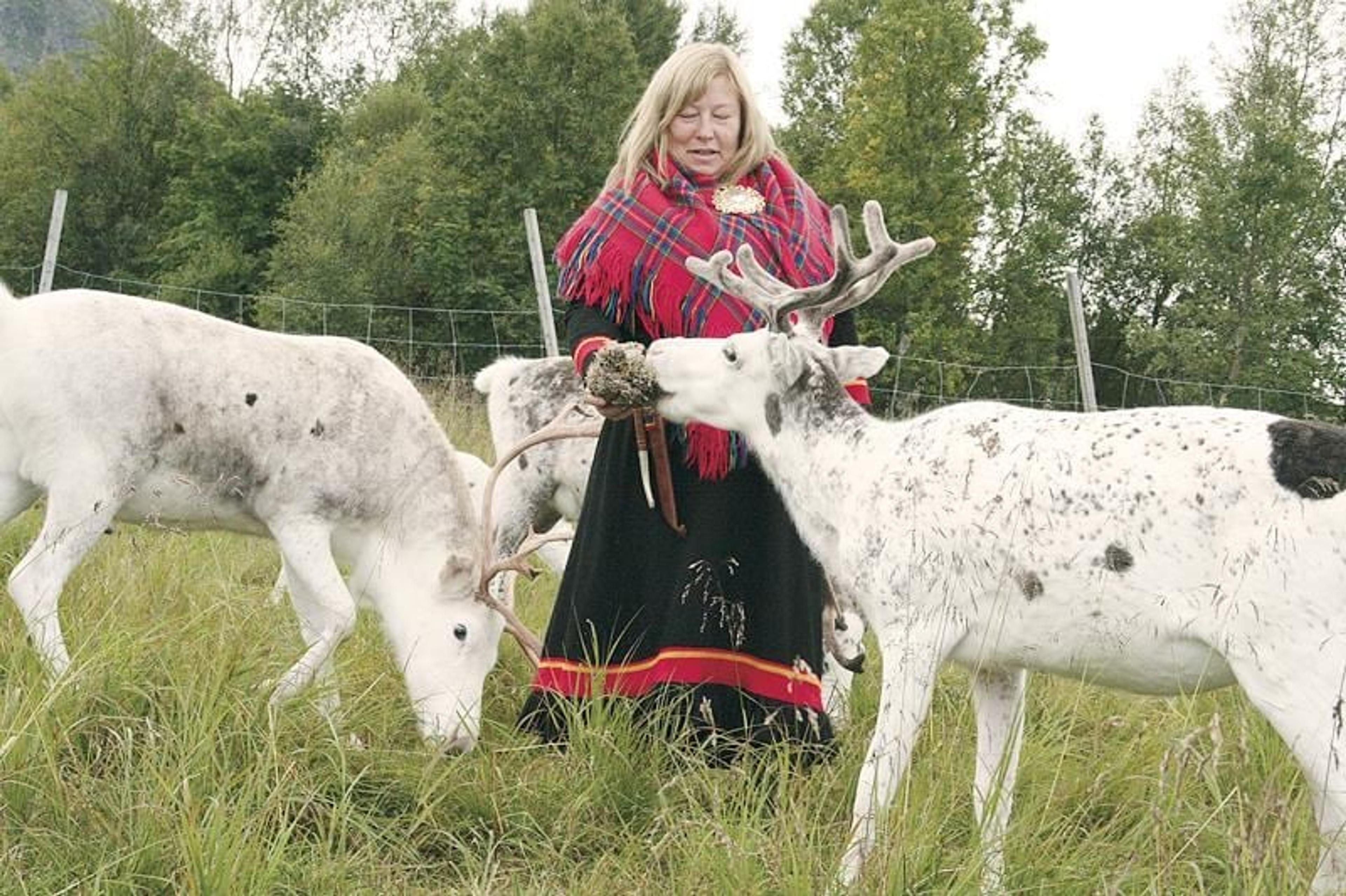Sami Culture - Inga Sami Siida