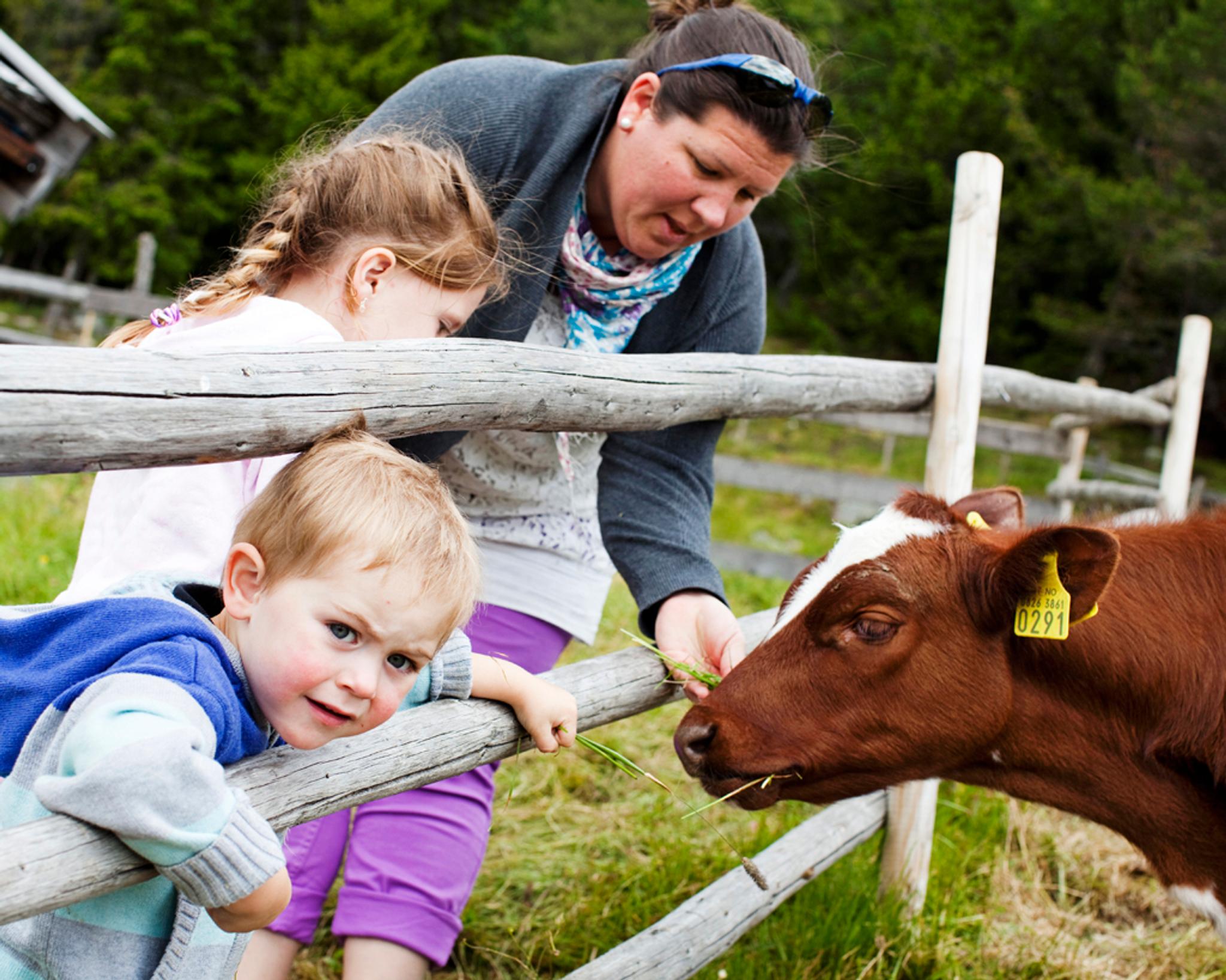 Håvardsrud Seterliv