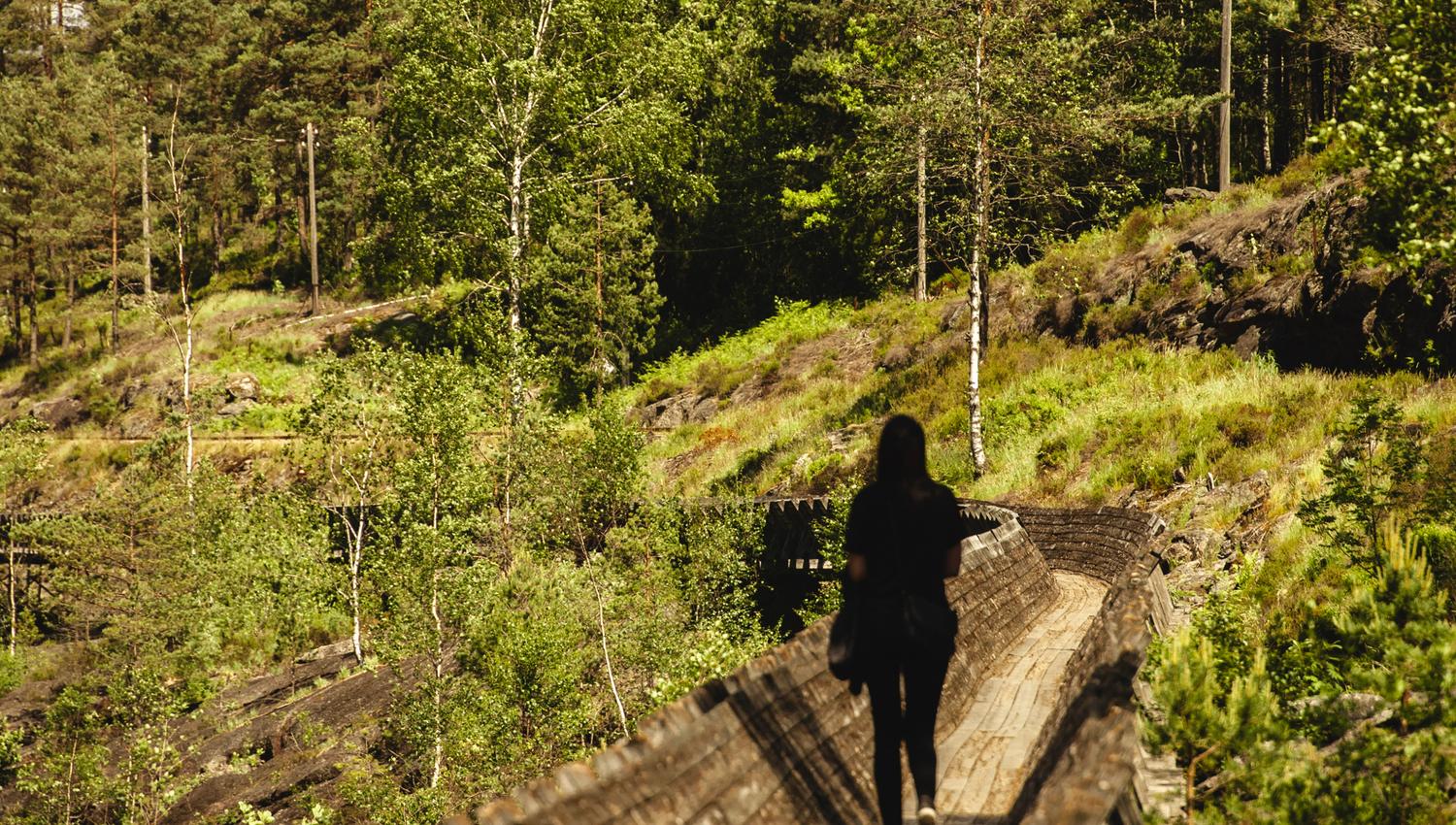 Tømmerenna Vennesla