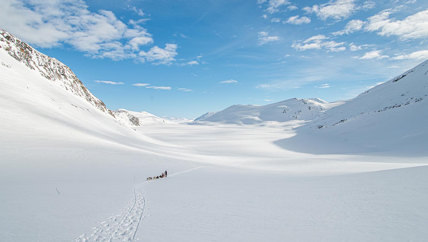 Hundekjøring i mektige omgivelser på fjellet en flott vinterdag.