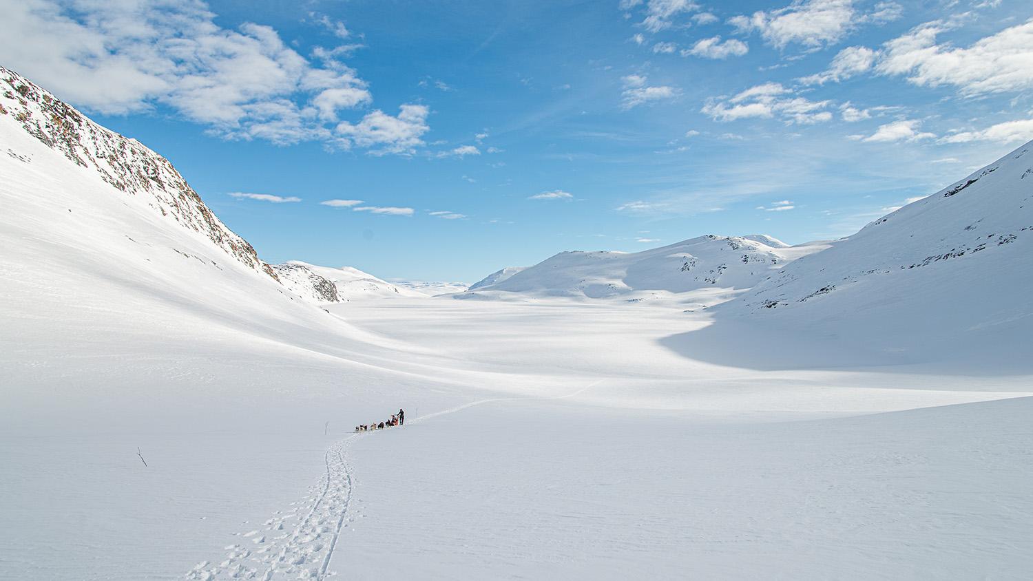Hundekjøring i mektige omgivelser på fjellet en flott vinterdag.
