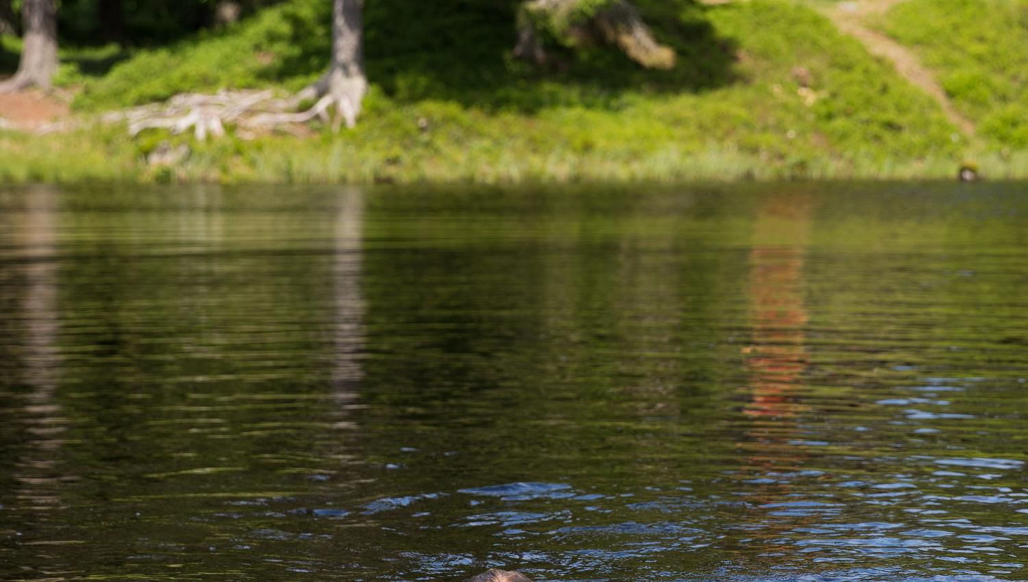 Tjern ved Budor koidedal