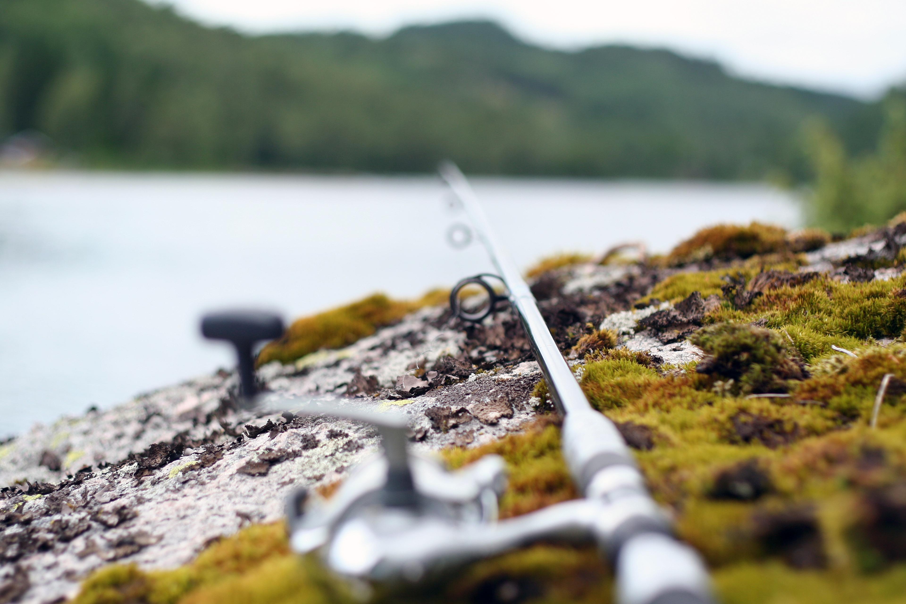 Lyngdal-fishing-Kleivvannet-Norway