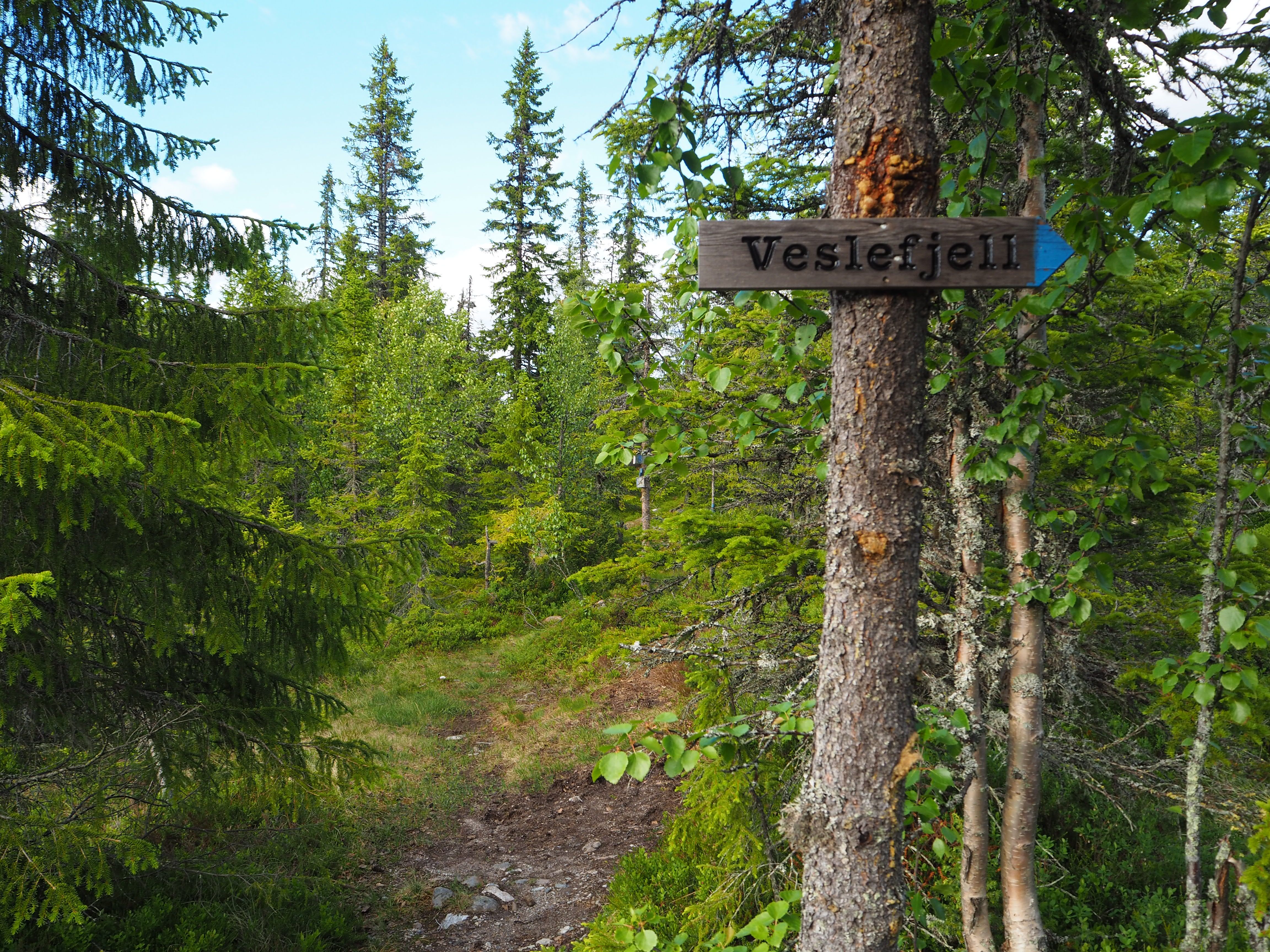 Veslefjell skilt