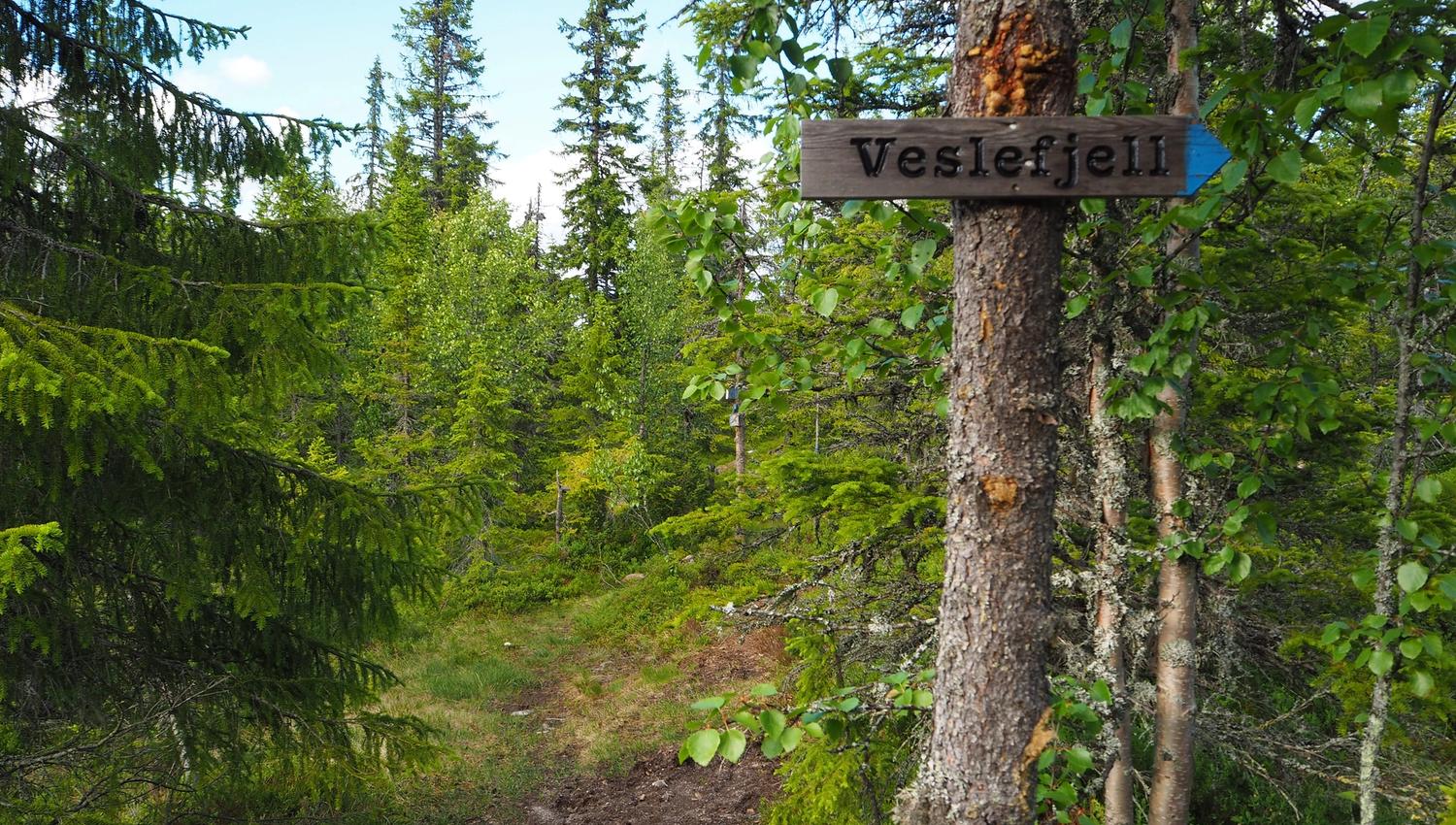 Veslefjell skilt